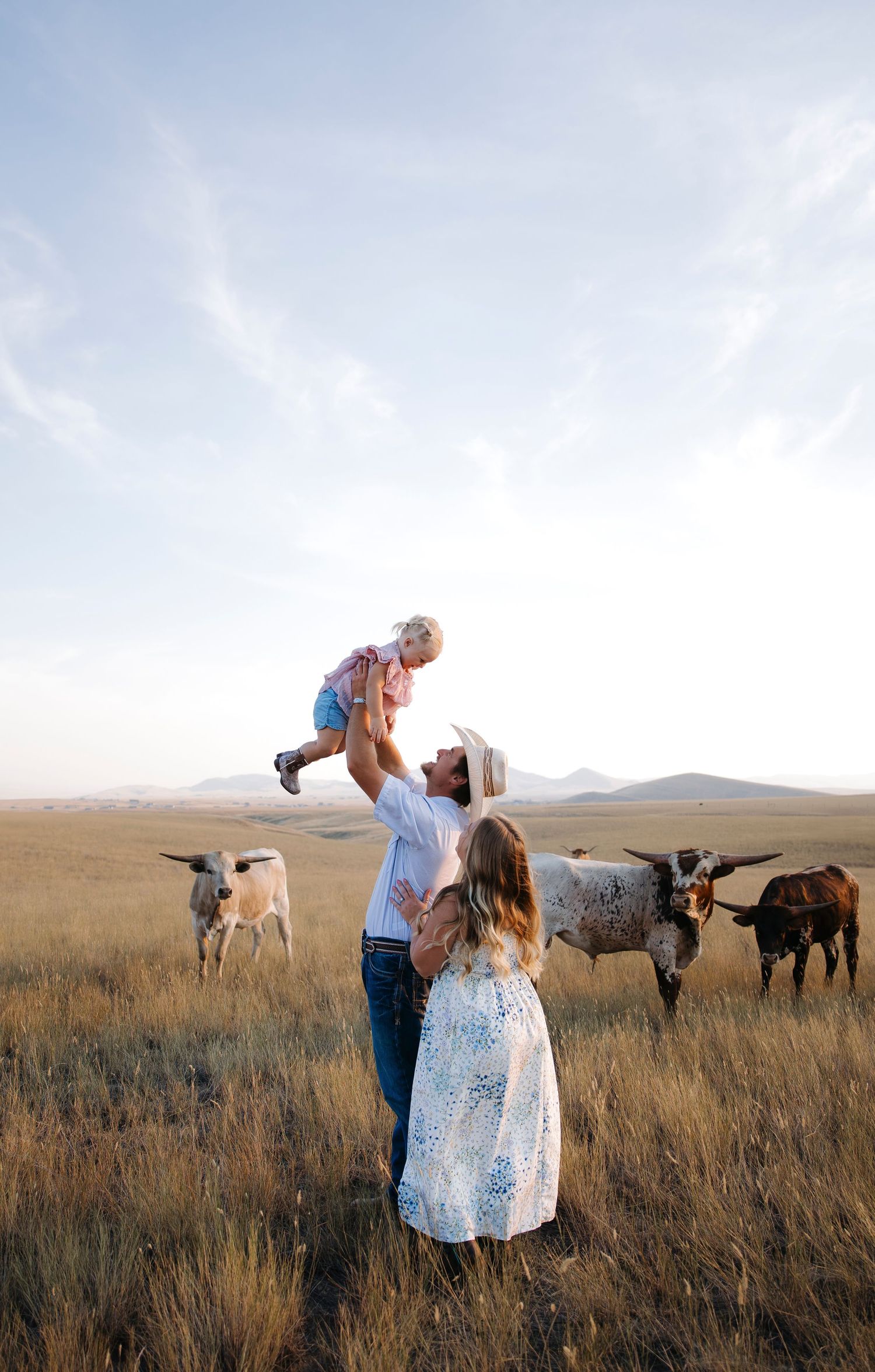 A romantic couple shares a moment in a field with longhorn cattle visible in the distance.
