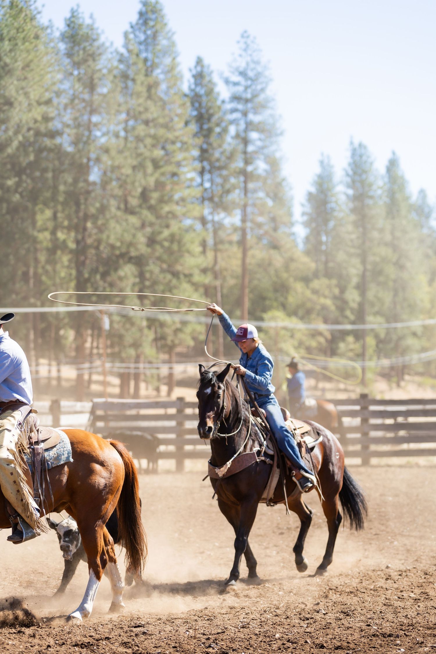 Cowgirl roping a calf in a dusty arena with mountains and pine trees in the background.