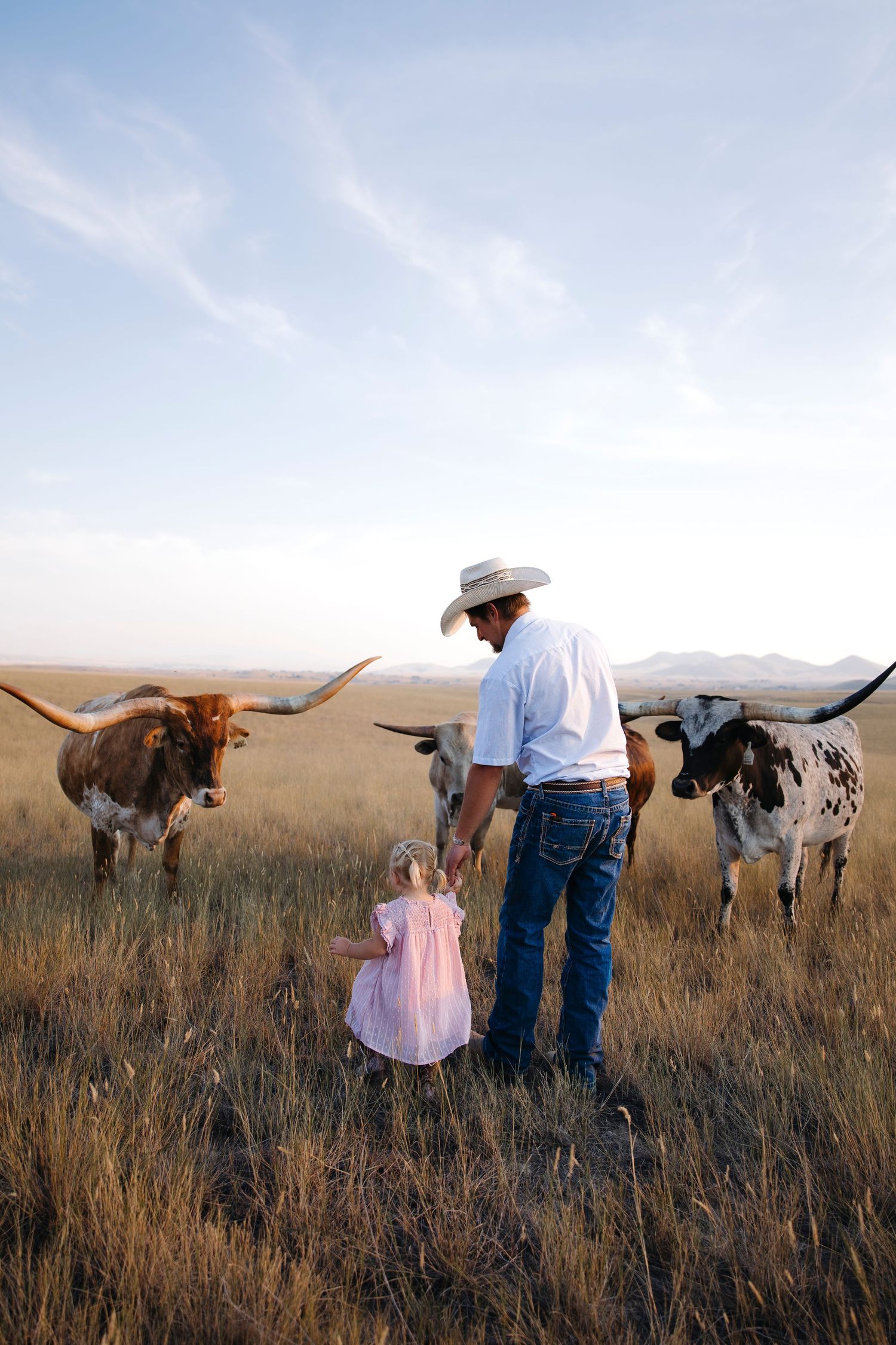 Family and longhorn cattle interacting in golden grass field at sunset.