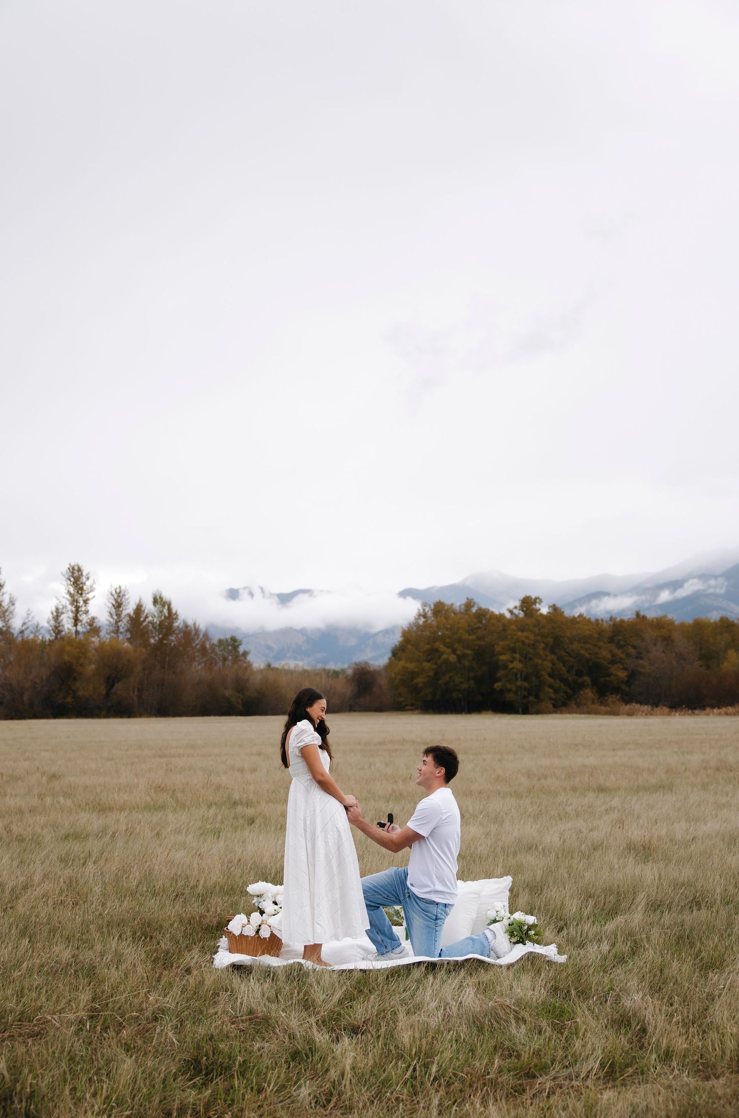 Romantic picnic setup for a surprise proposal in a vast meadow with mountain views in the background.