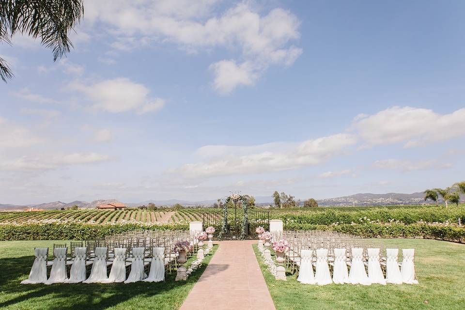 White chairs arranged in rows for an outdoor vineyard wedding ceremony with mountain views and palm trees in the background.
