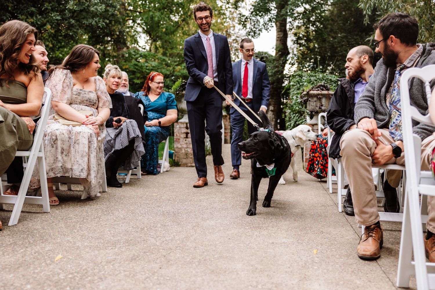 Black Labrador dog walks down outdoor wedding ceremony aisle escorted by man in suit.