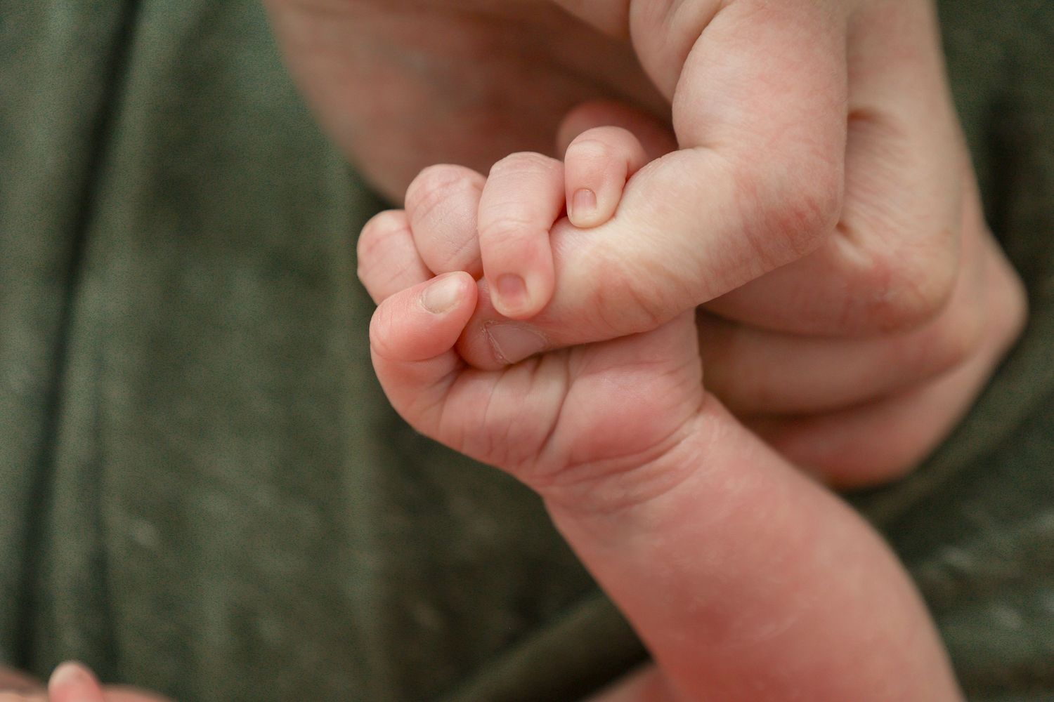 A newborn baby grasping an adult finger, close-up of tiny infant hand holding parent's finger.