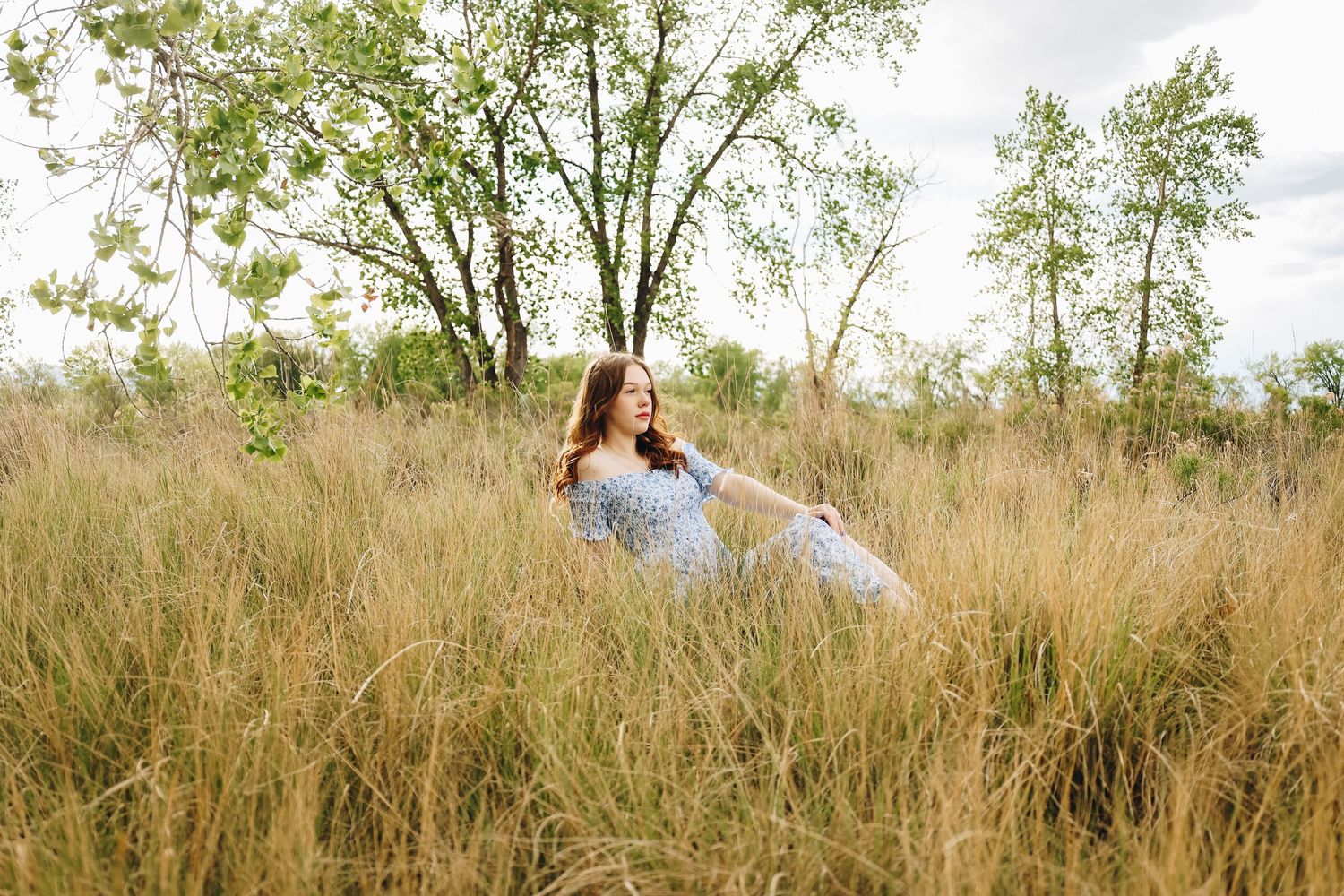 Young woman in light blue dress sitting peacefully in tall golden grass field surrounded by trees.