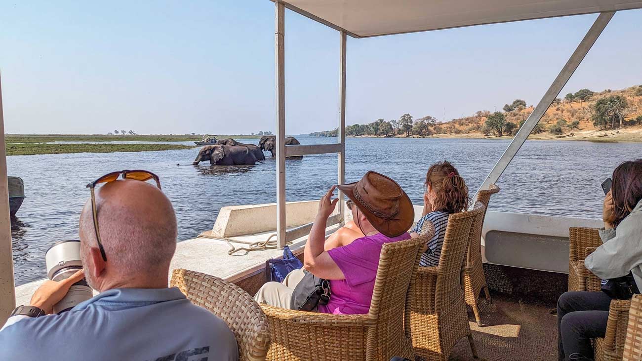 Photo Safari Company Chobe Safari guests watch elephant in water from boat.