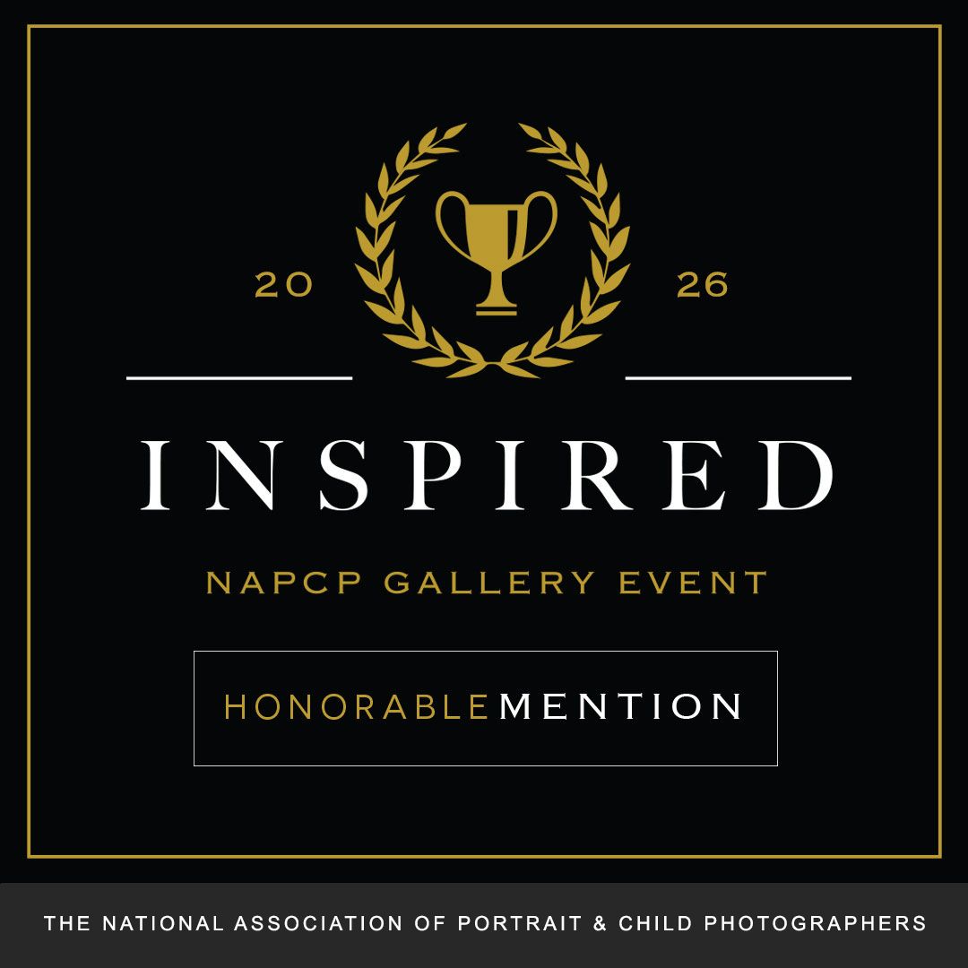 Five black and gold award badges arranged horizontally showing NAPCP gallery event and honorable mention recognitions.