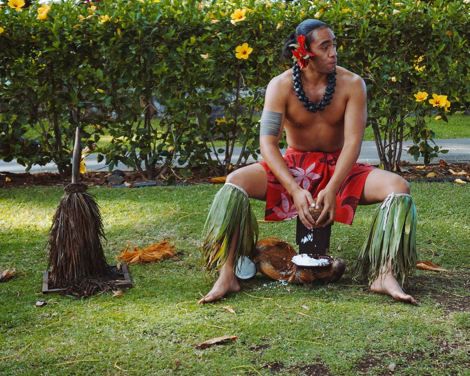 A hula dancer sits on a stool and shaves a coconut.