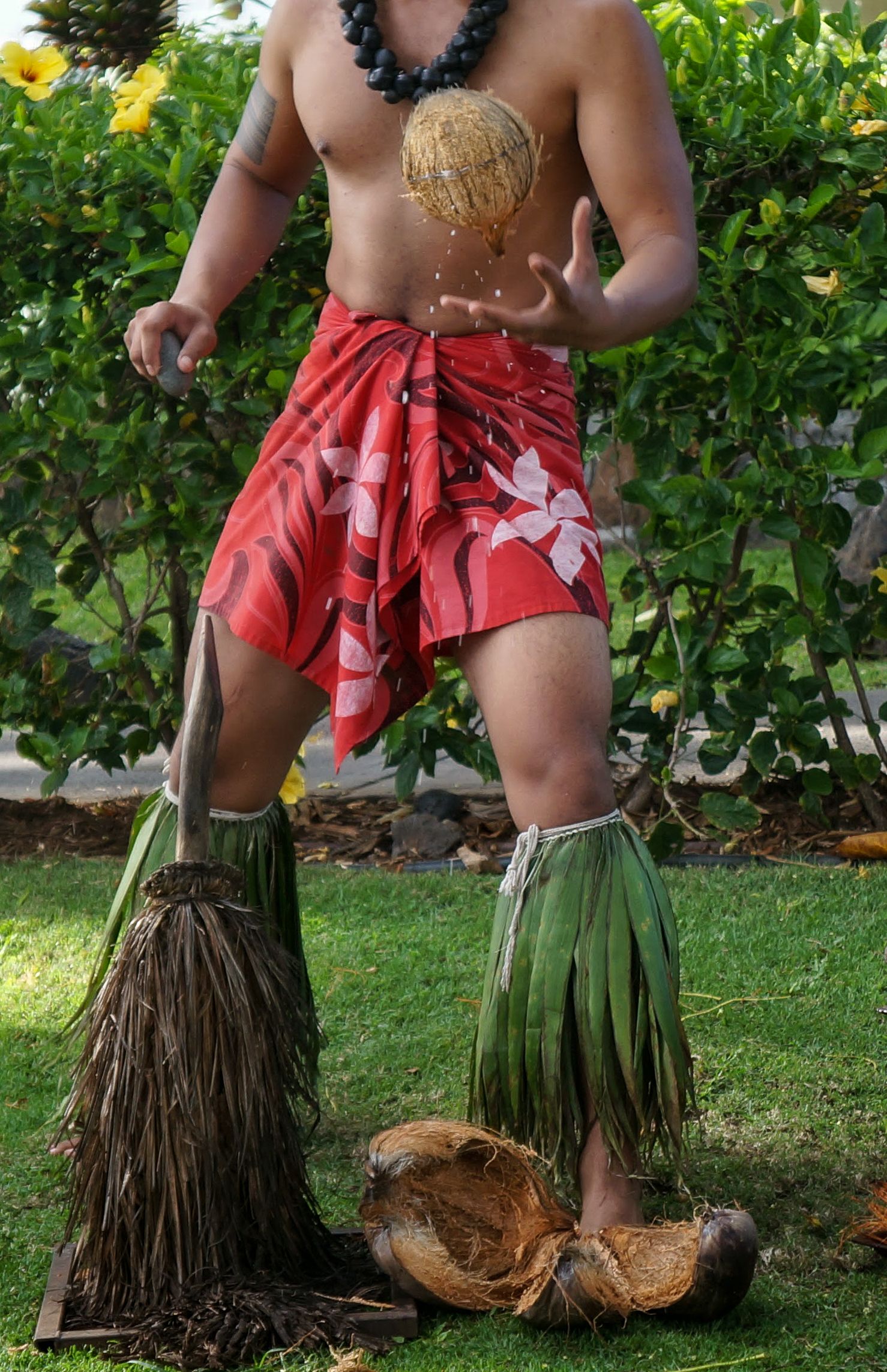 A hula dancer hefts a coconut, preparing to split it open on a stake.