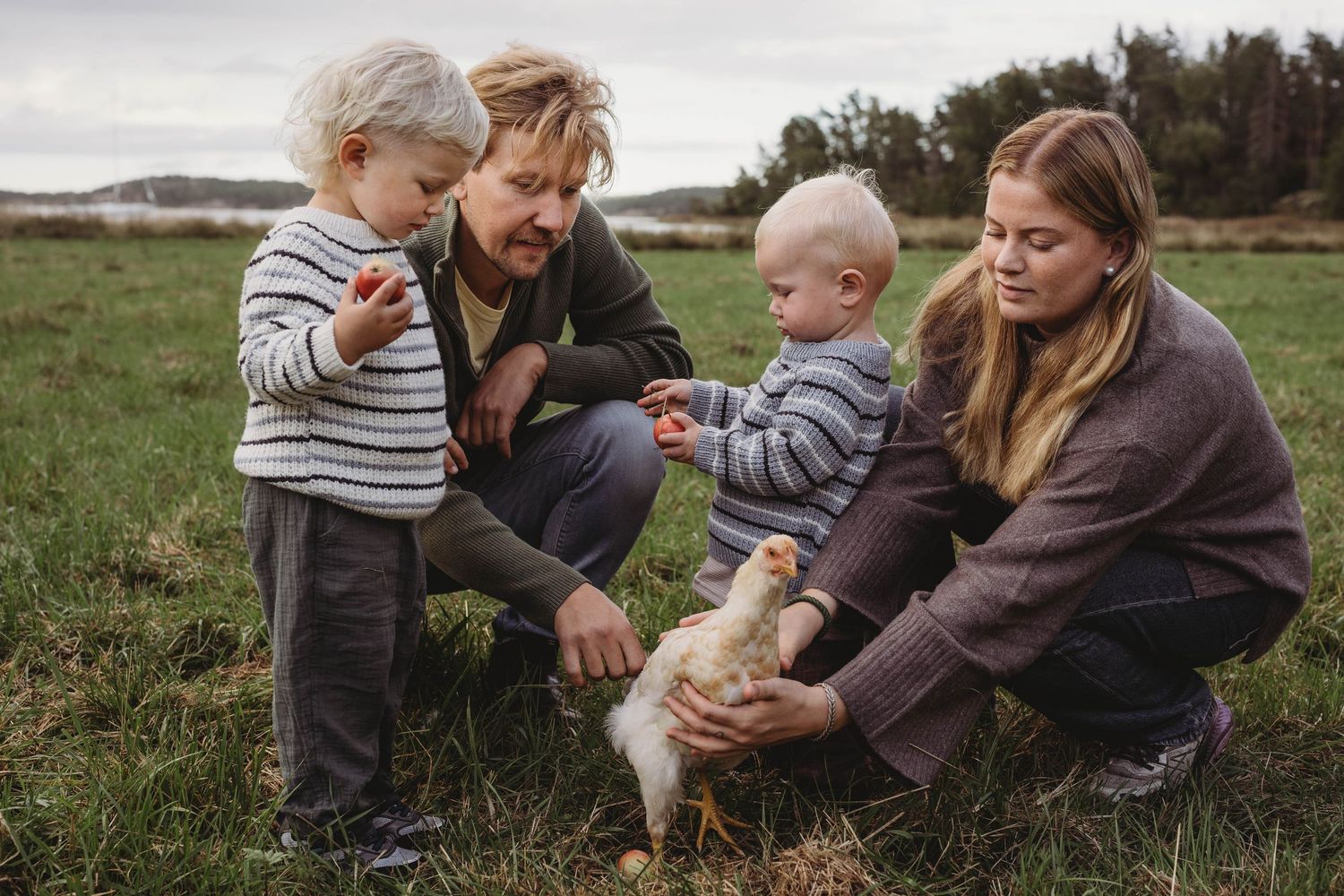 Familj på en gräsmatta klappandes en höna
