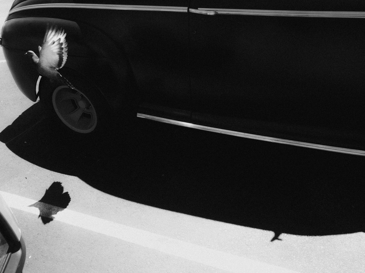 Black and white detail of a dark car's body with chrome trim and a reflection in the paint.