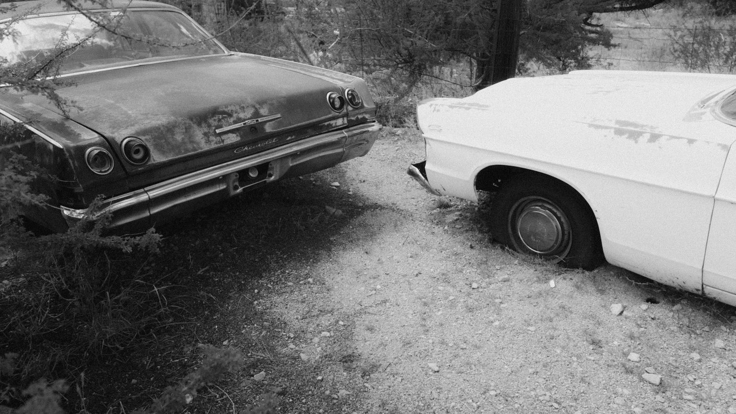 Black and white photo of two old cars parked among dry brush.