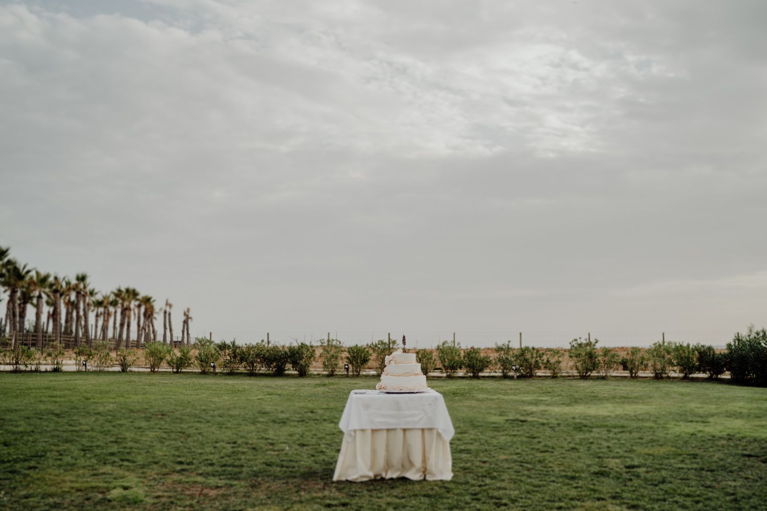 Algarve wedding photographer capturing an emotional cake cutting scene at beachside venue