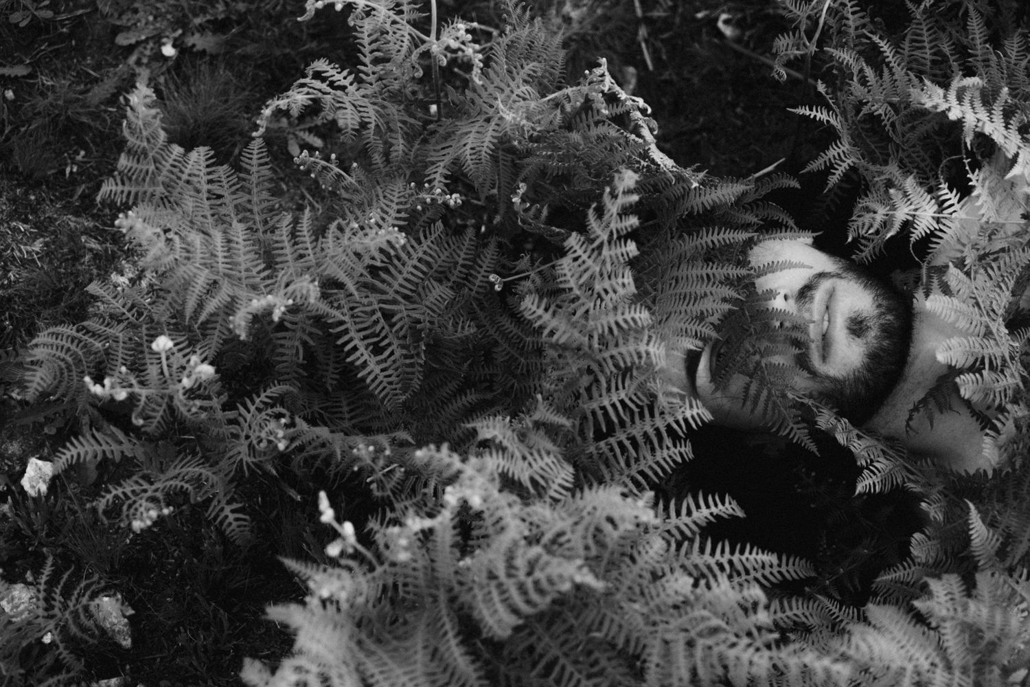 Black and white overhead view of ferns with a person's face among the leaves.