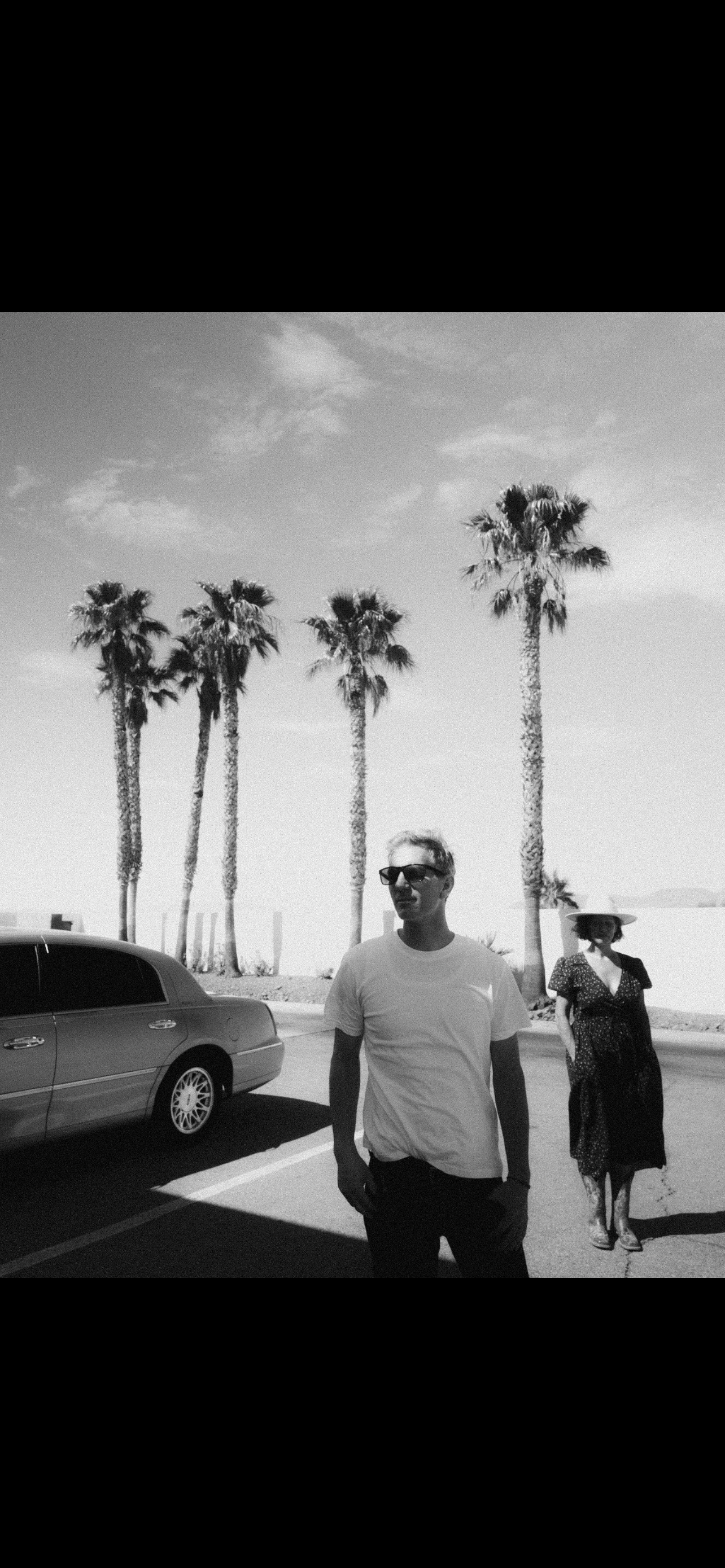 Black and white photo of tall palm trees against the sky