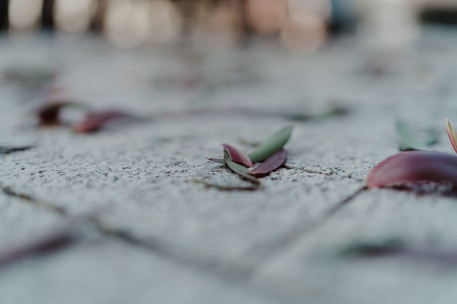 Subtle details on the streets of Porto after a wedding