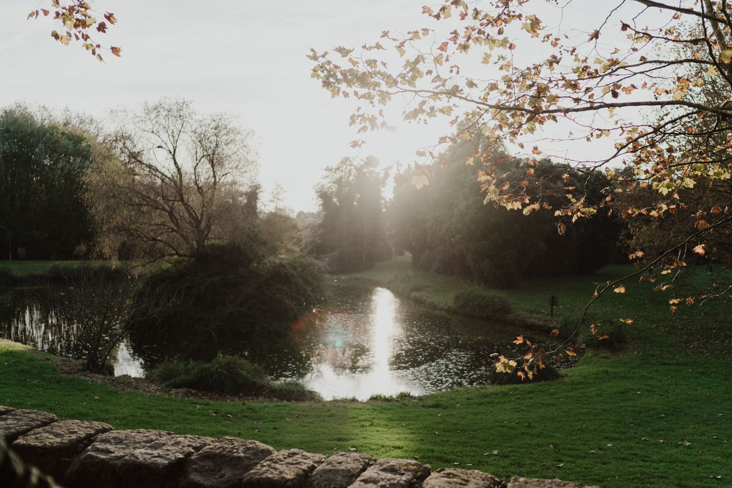 Evening light in parque da cidade Porto during an intimate wedding day