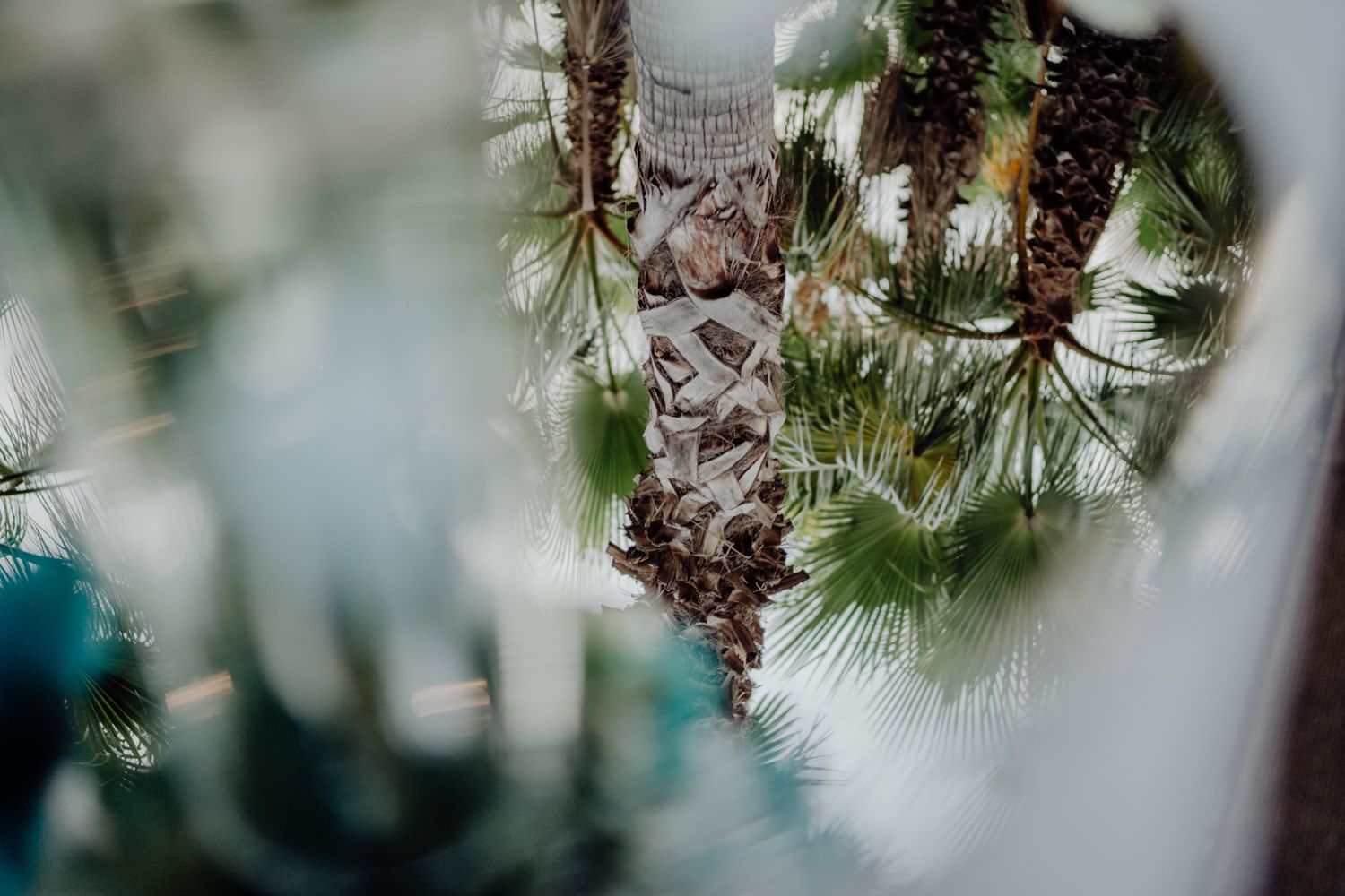 Algarve wedding photographer capturing cinematic moments at Vidamar Resort Portugal