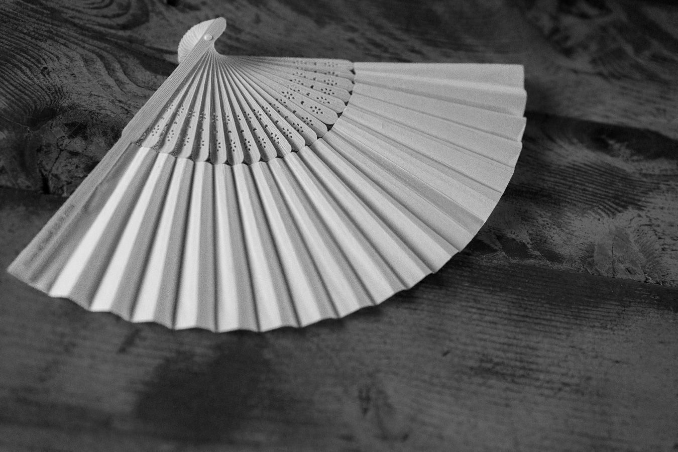 Wedding fan detail at a seaside wedding in Tuscany, Italy