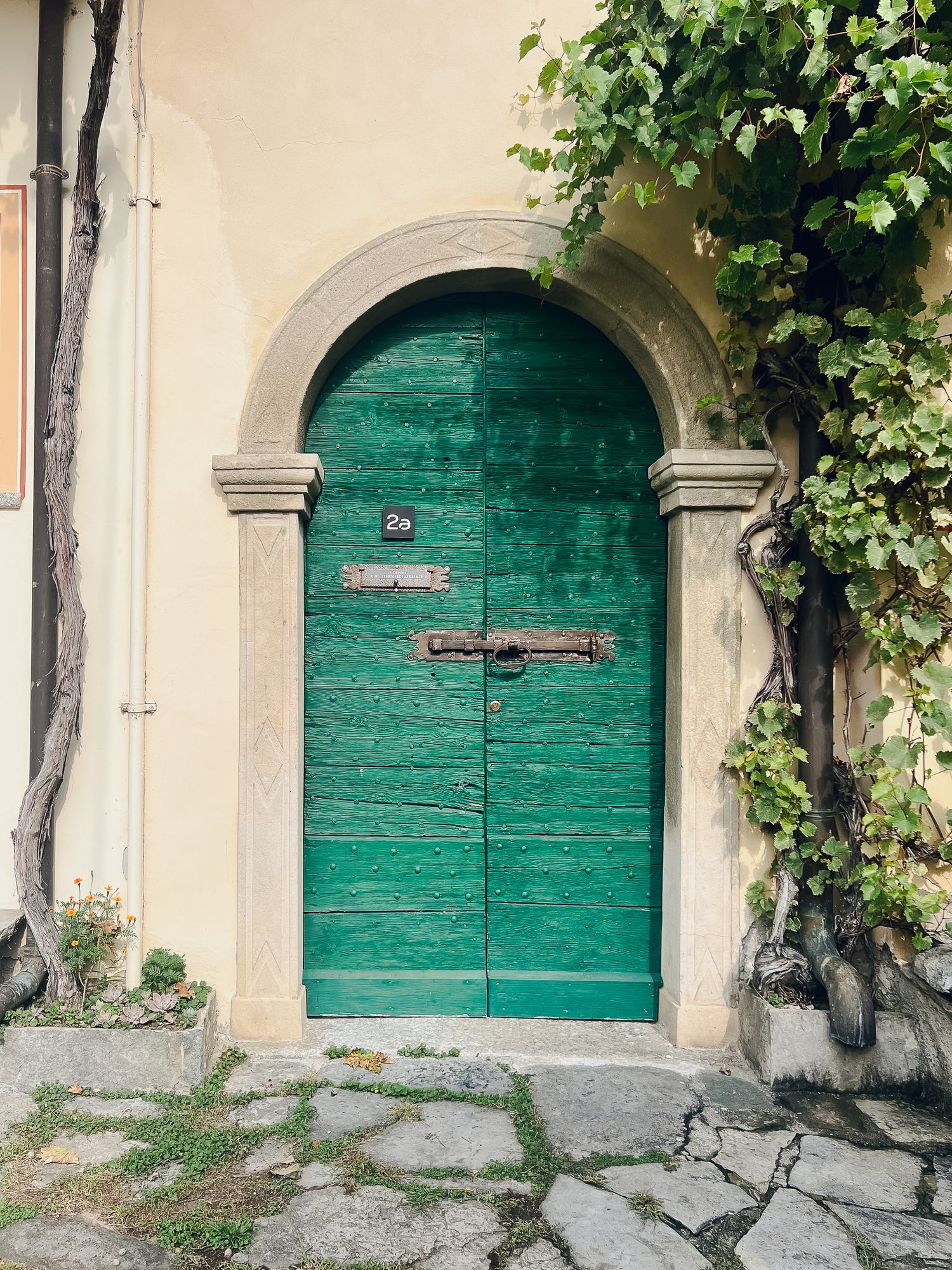 Charming teal arched wooden door framed by stone and climbing vines on a rustic European facade.