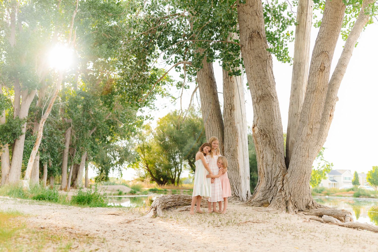 Sunlight streams through trees in a peaceful wooded setting during golden hour.