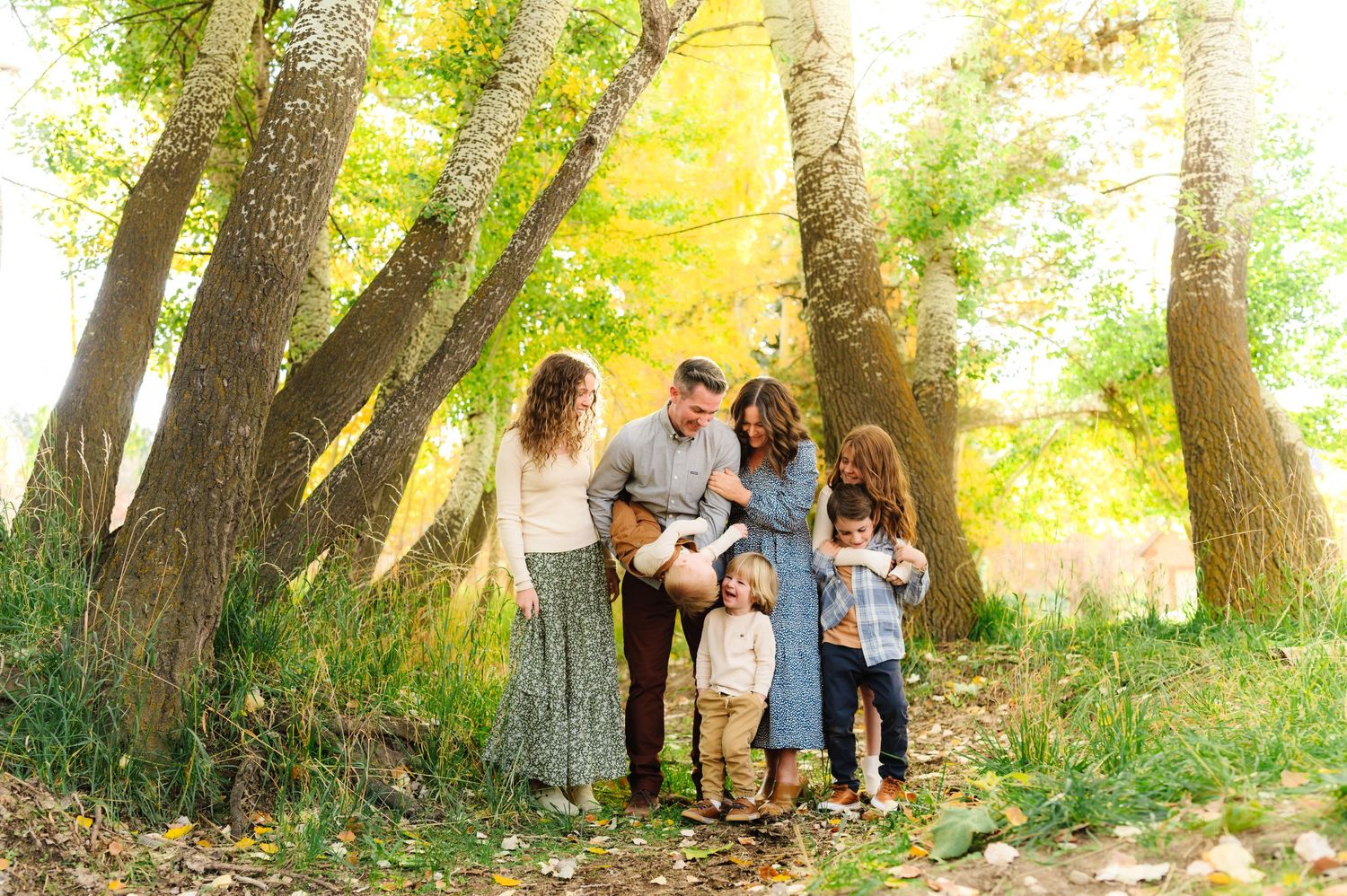 Family portrait session taking place among tall trees with golden sunlight filtering through the branches.