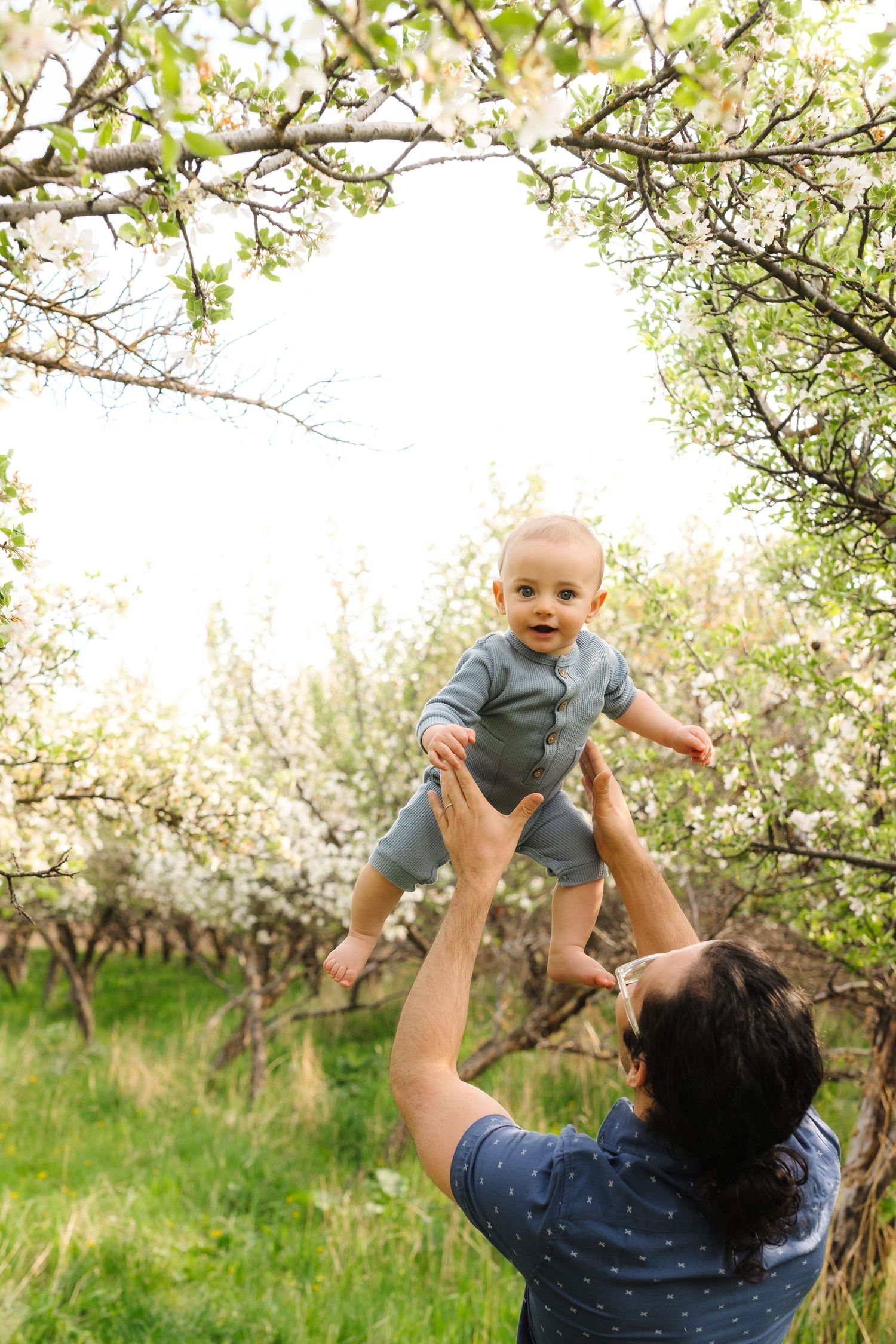 A joyful moment captured in a blooming apple orchard as a baby is lifted high into the spring air.