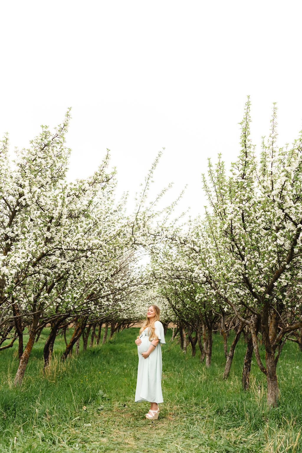 A person in a white dress walks through rows of blooming apple trees in springtime.