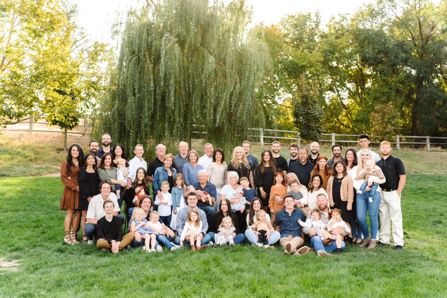 Large extended family group portrait outdoors on green lawn beneath a weeping willow tree on a sunny day.