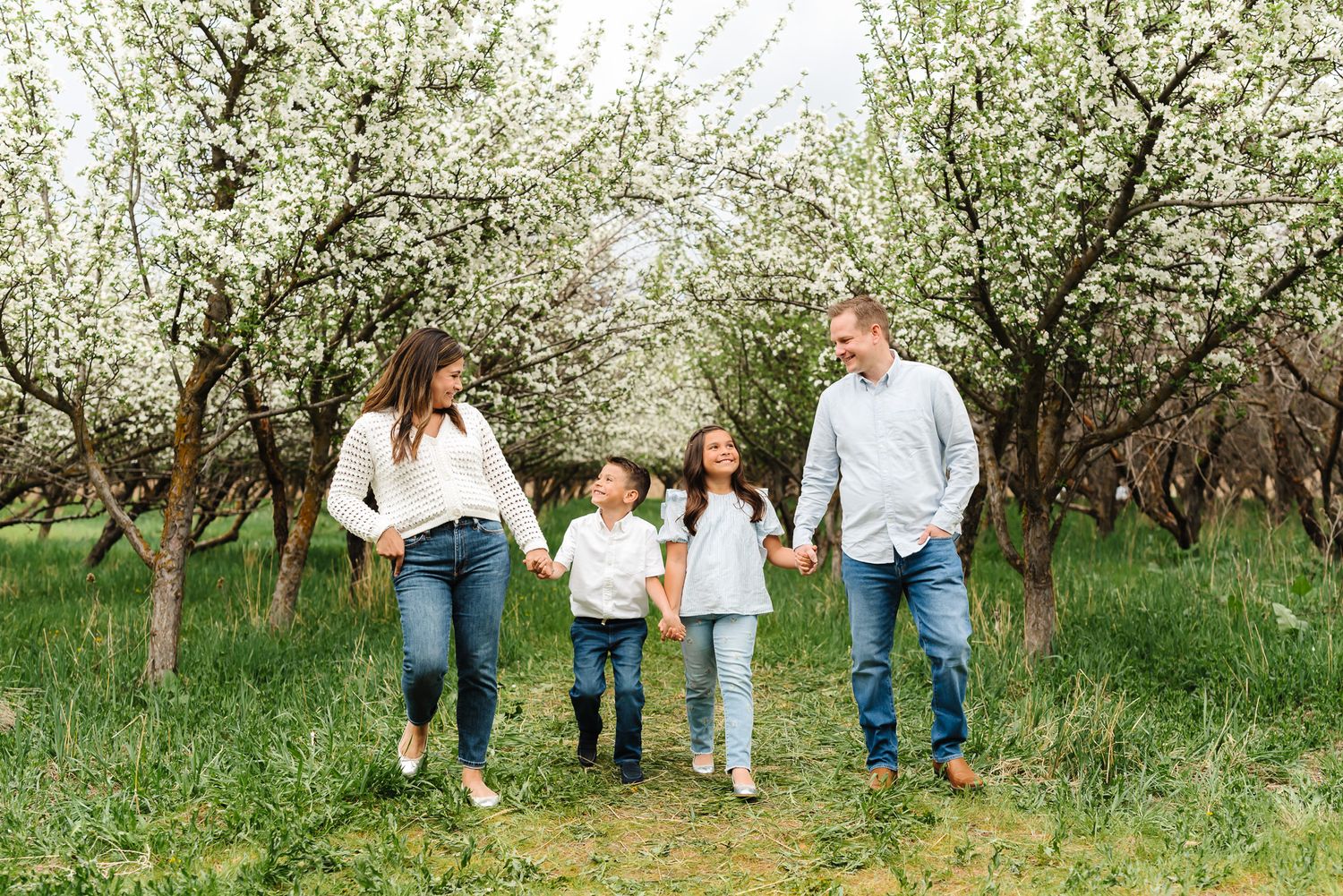 Family walking together through rows of blooming fruit trees in an orchard.