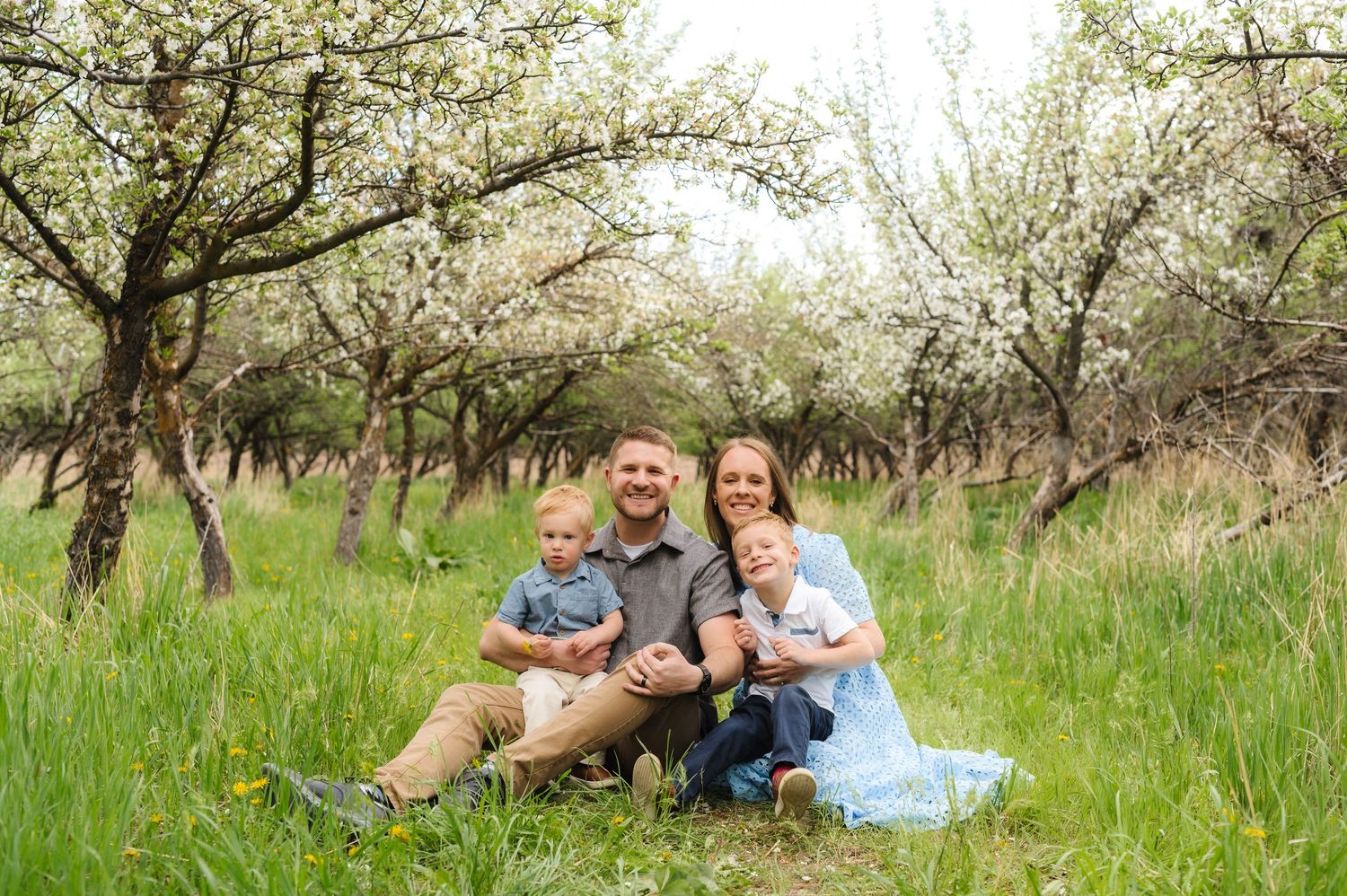 Family relaxing together in a blooming spring orchard with white flowering trees and tall grass.