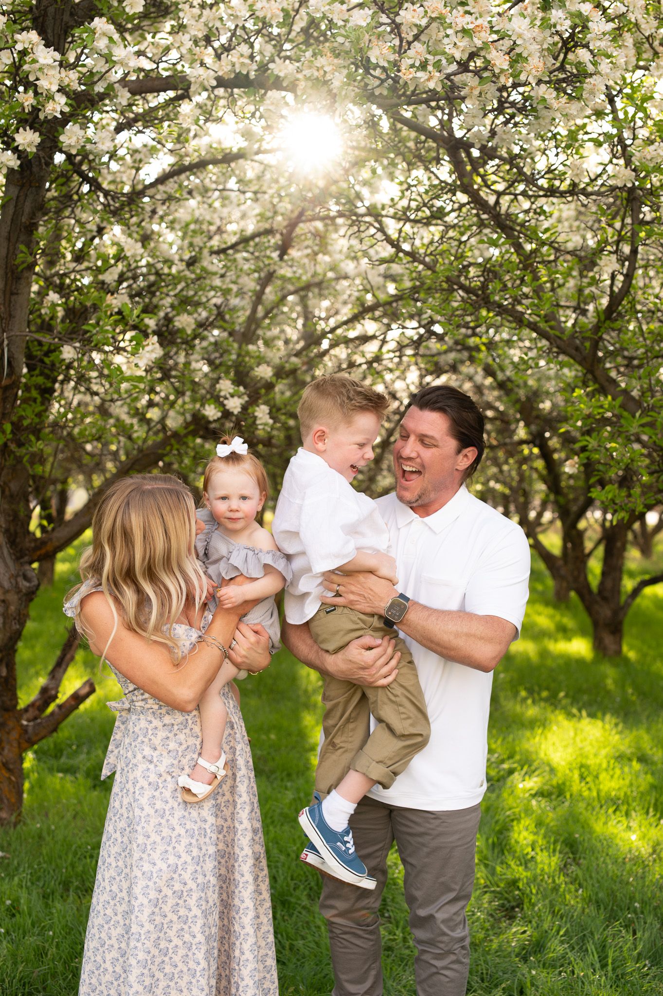 Family of four laughing together in a blooming spring orchard, parents holding two young children in golden sunlight.