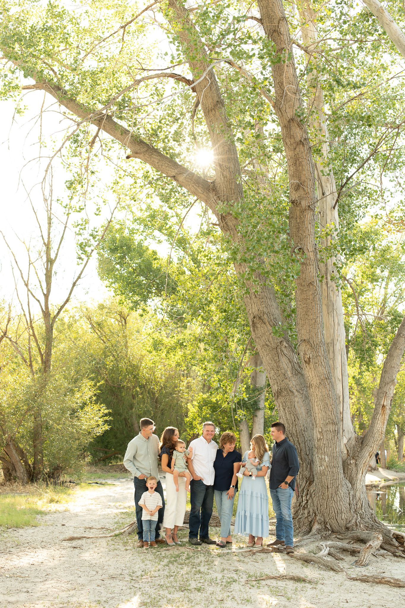 Large group photo session under majestic trees in warm natural lighting.