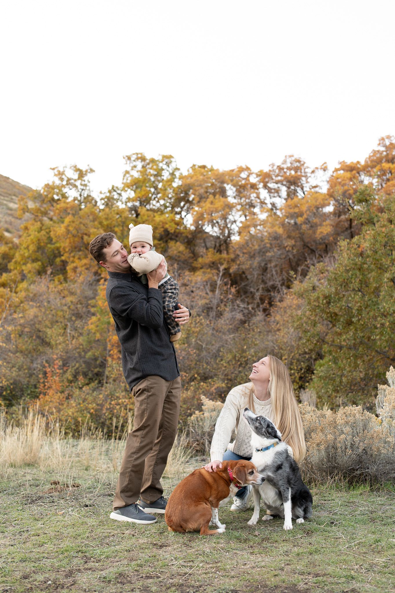 Family with baby and two dogs posing outdoors in autumn landscape with colorful foliage in background.