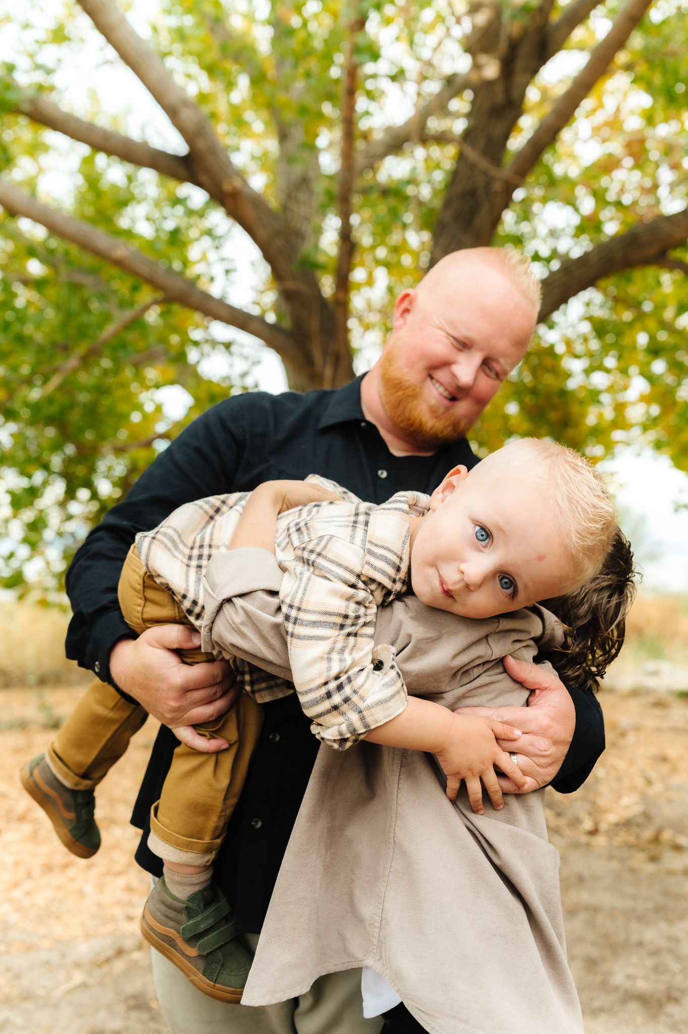 Playful family moment captured with parent dipping child while playing outdoors.