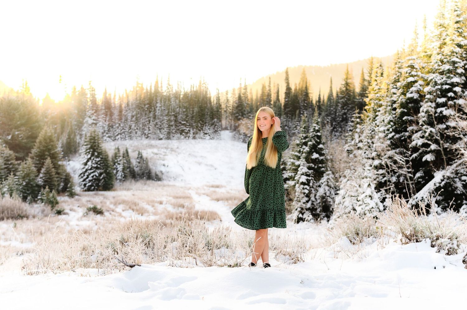 Snowy winter forest landscape with sunlight filtering through snow-covered evergreen trees.