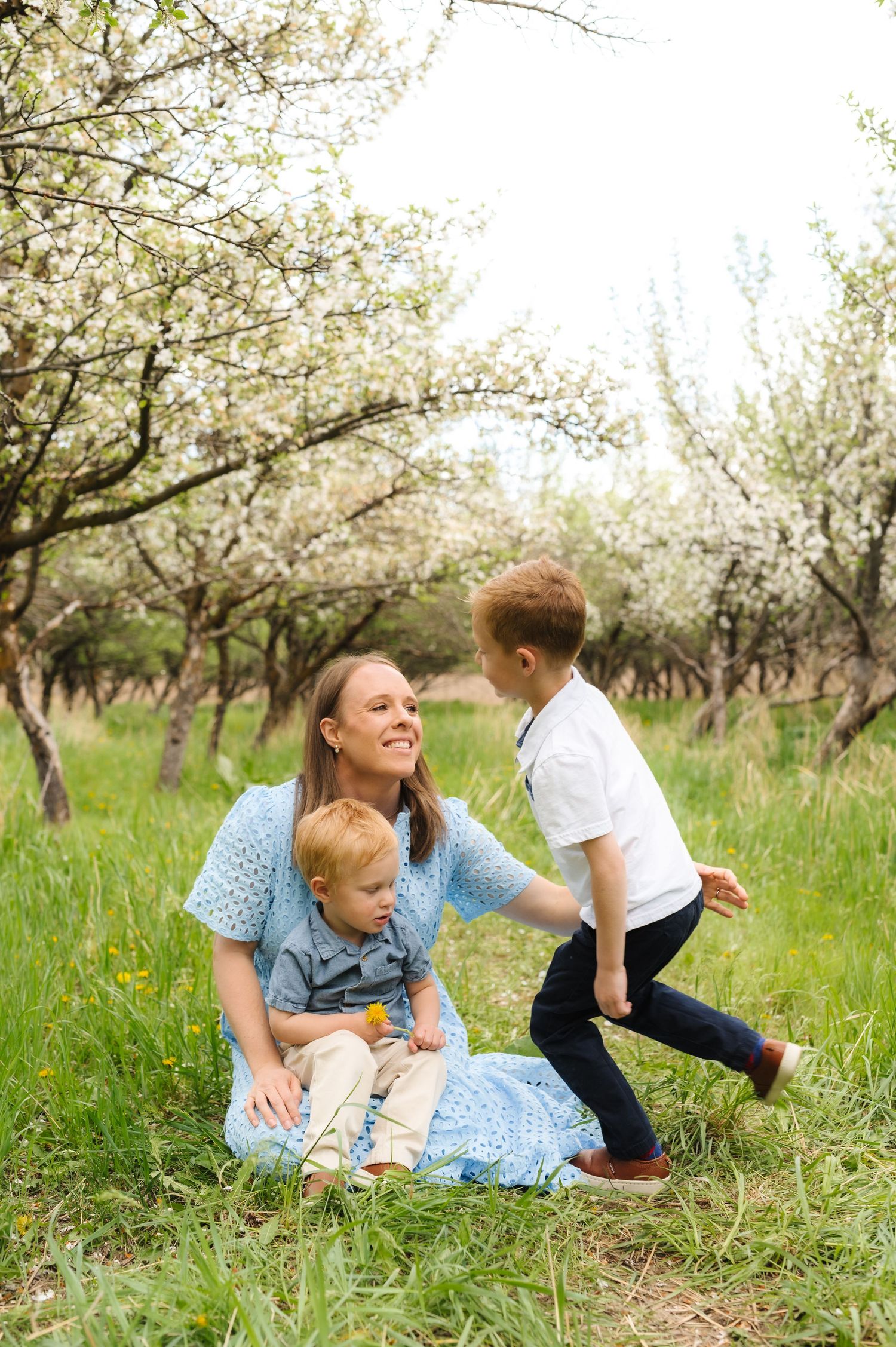 A family relaxes together in a blooming spring orchard with white cherry blossoms overhead on a sunny day.