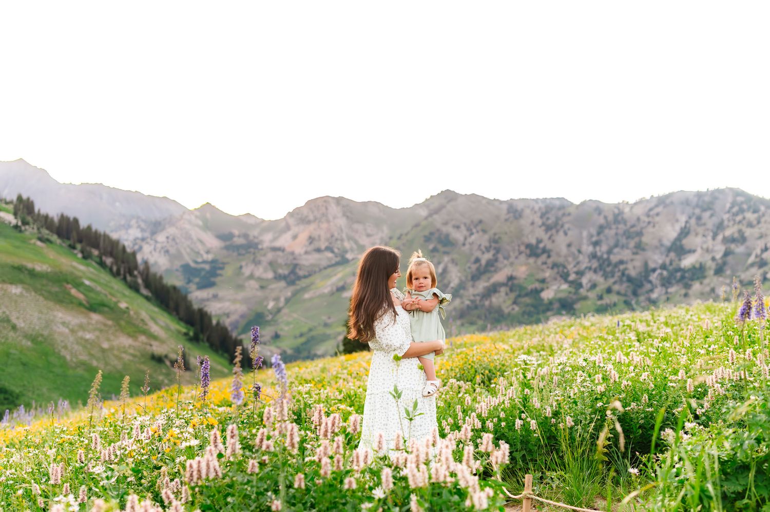 Family photoshoot in an alpine meadow filled with wildflowers and mountain views.