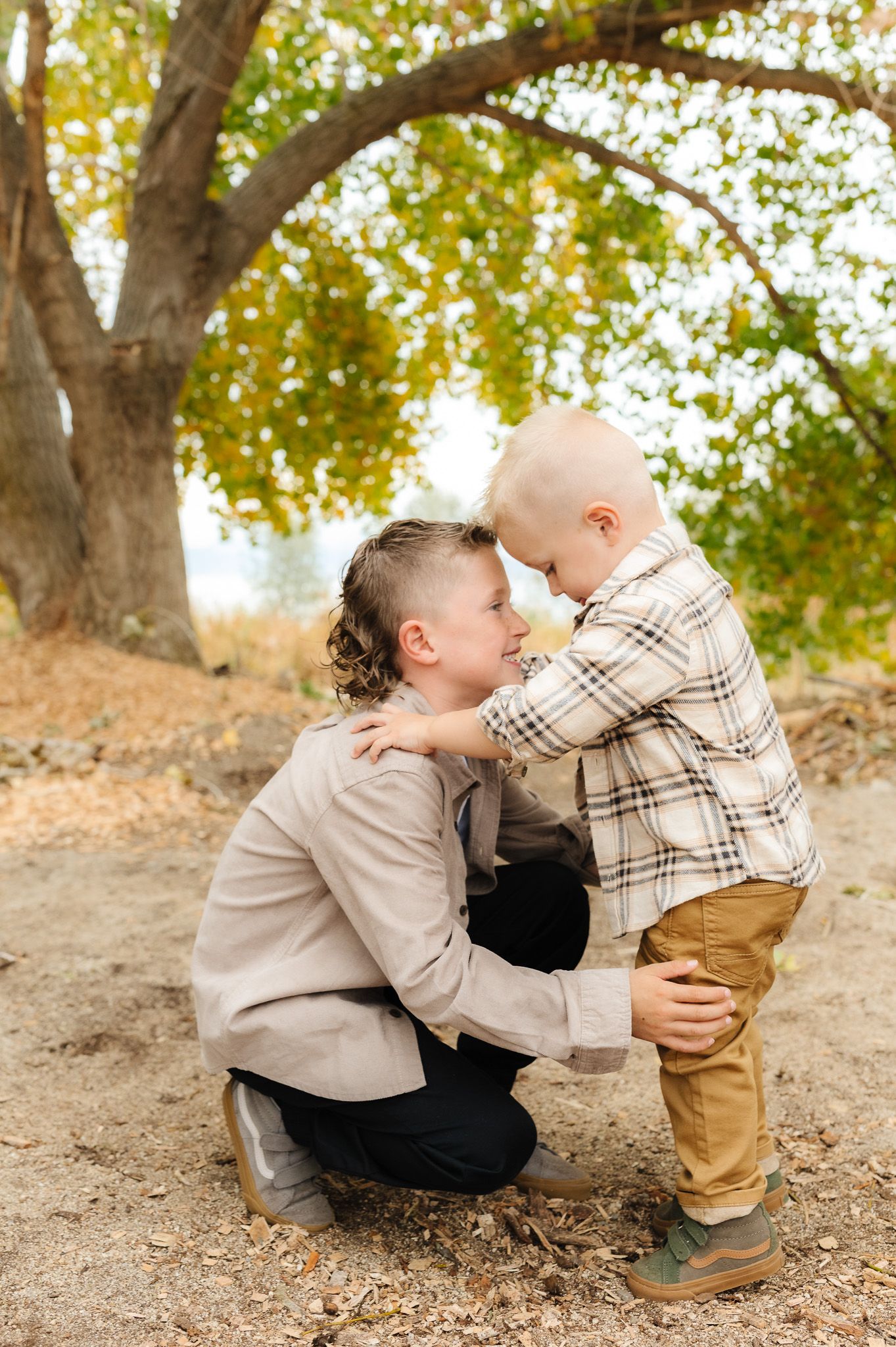 Sweet interaction between two people under a tree with fall colors.