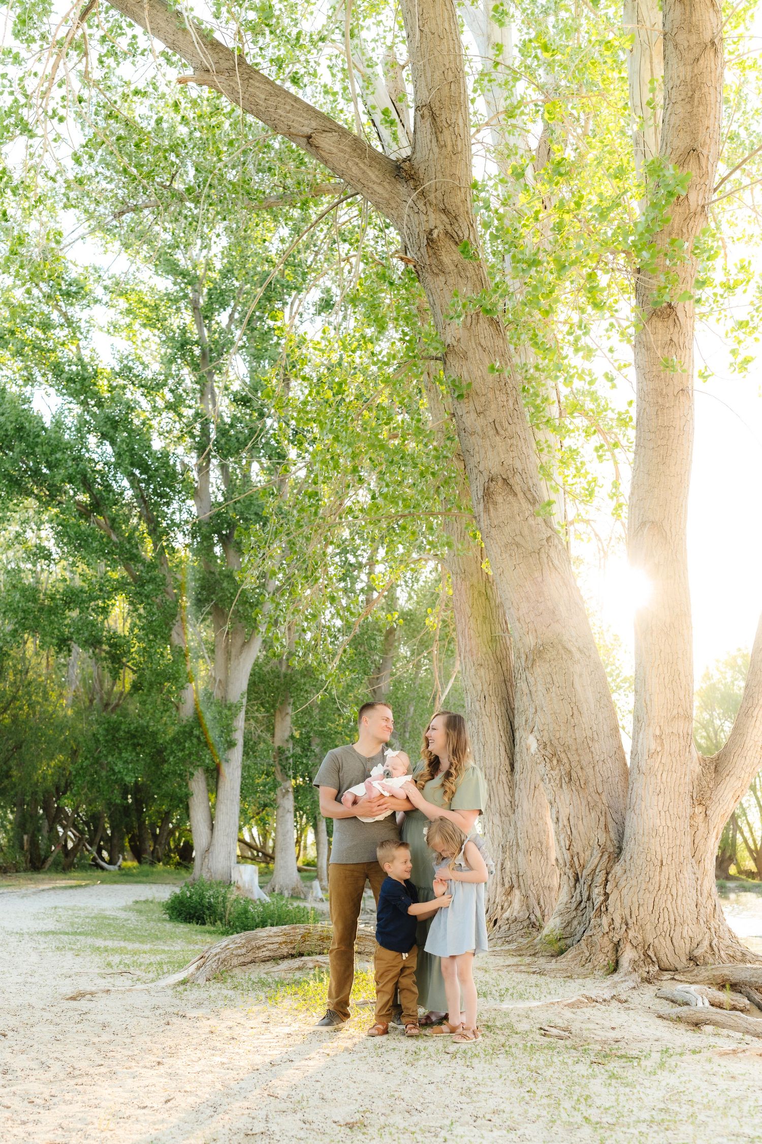 A family stands together beneath tall sycamore trees in a sunlit park on a warm afternoon.