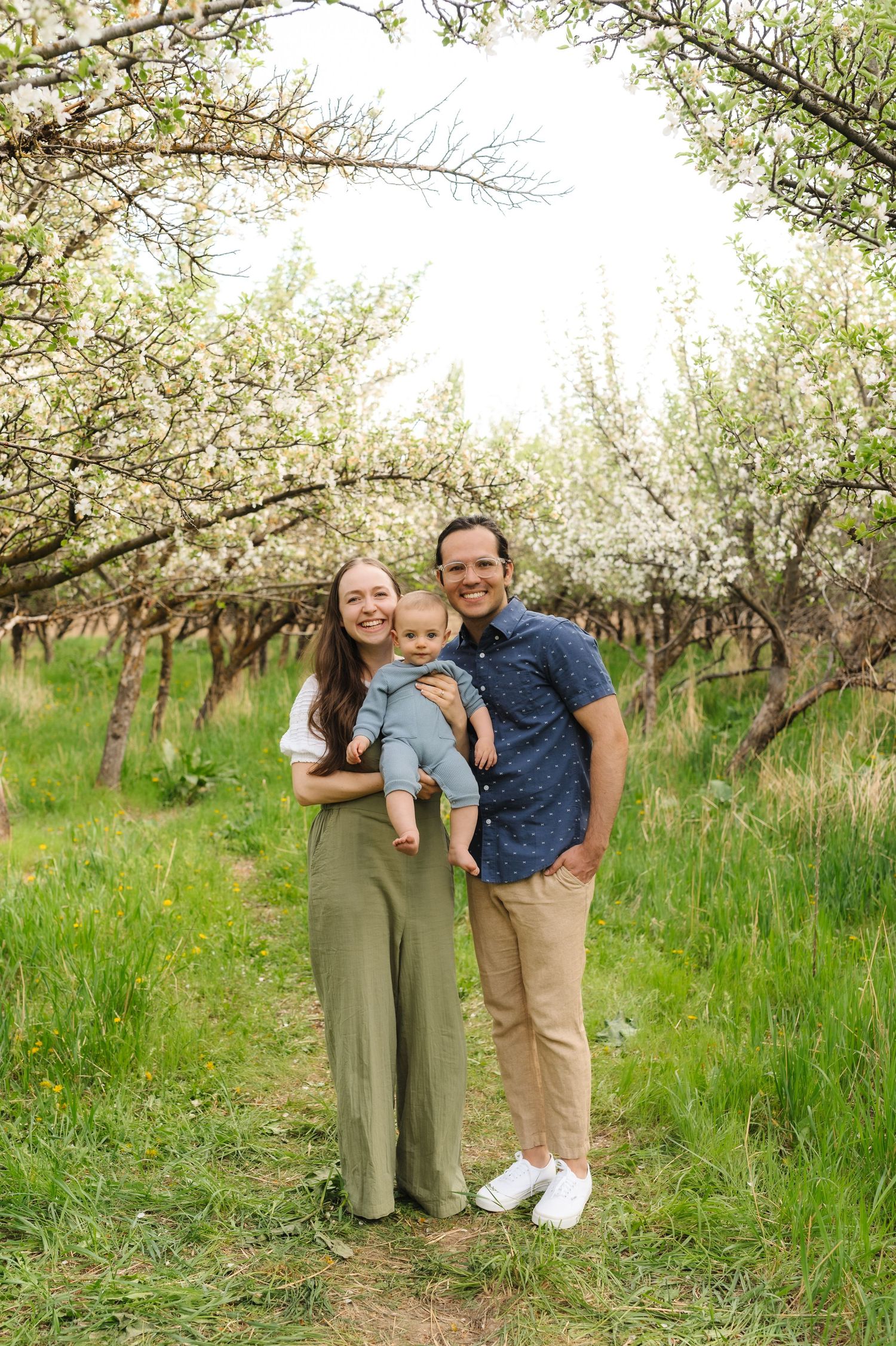 Family poses together under blooming white apple blossoms in an orchard during springtime.
