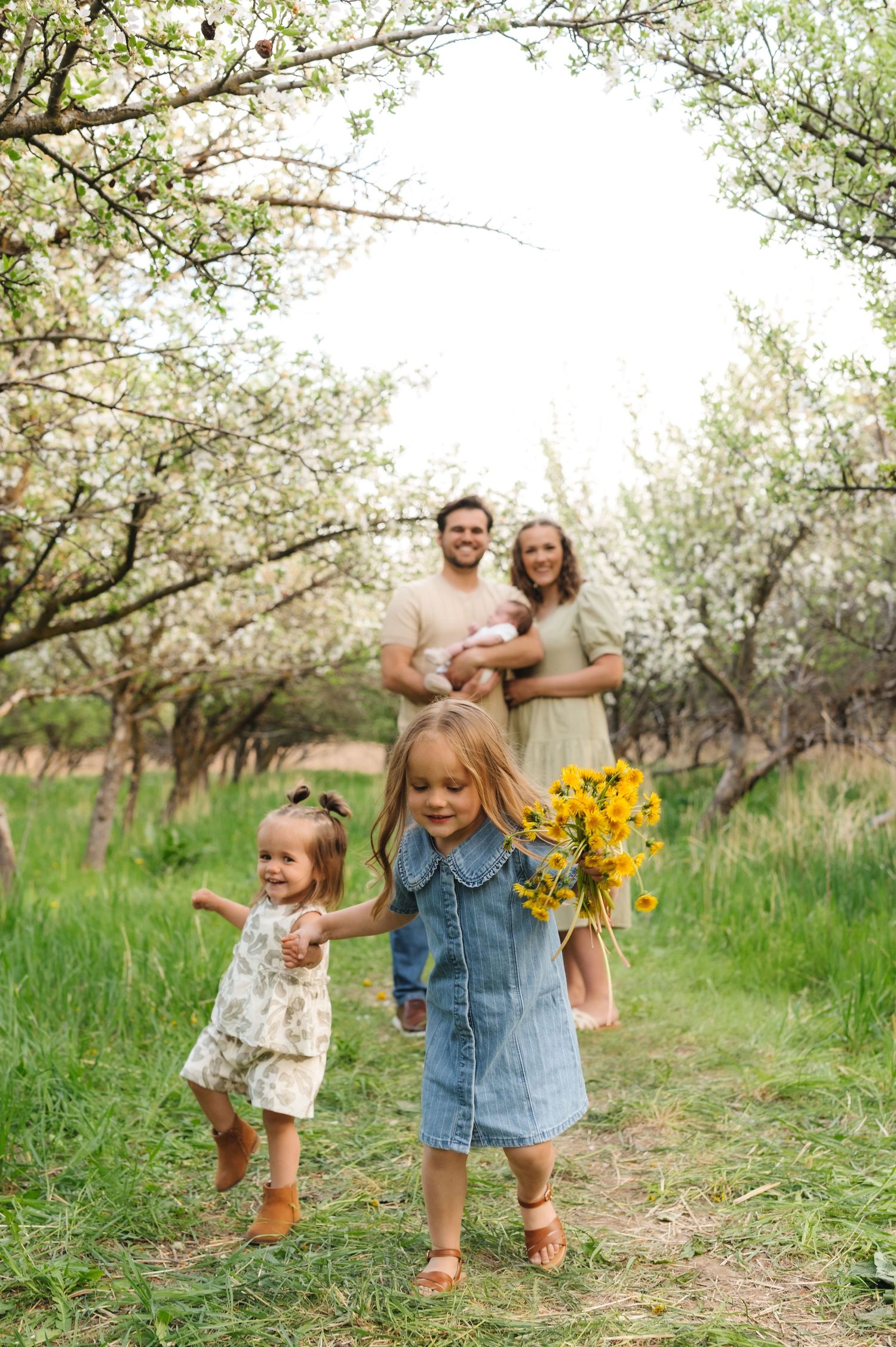 A family walks together through a blooming spring orchard with sunflowers on a sunny afternoon.