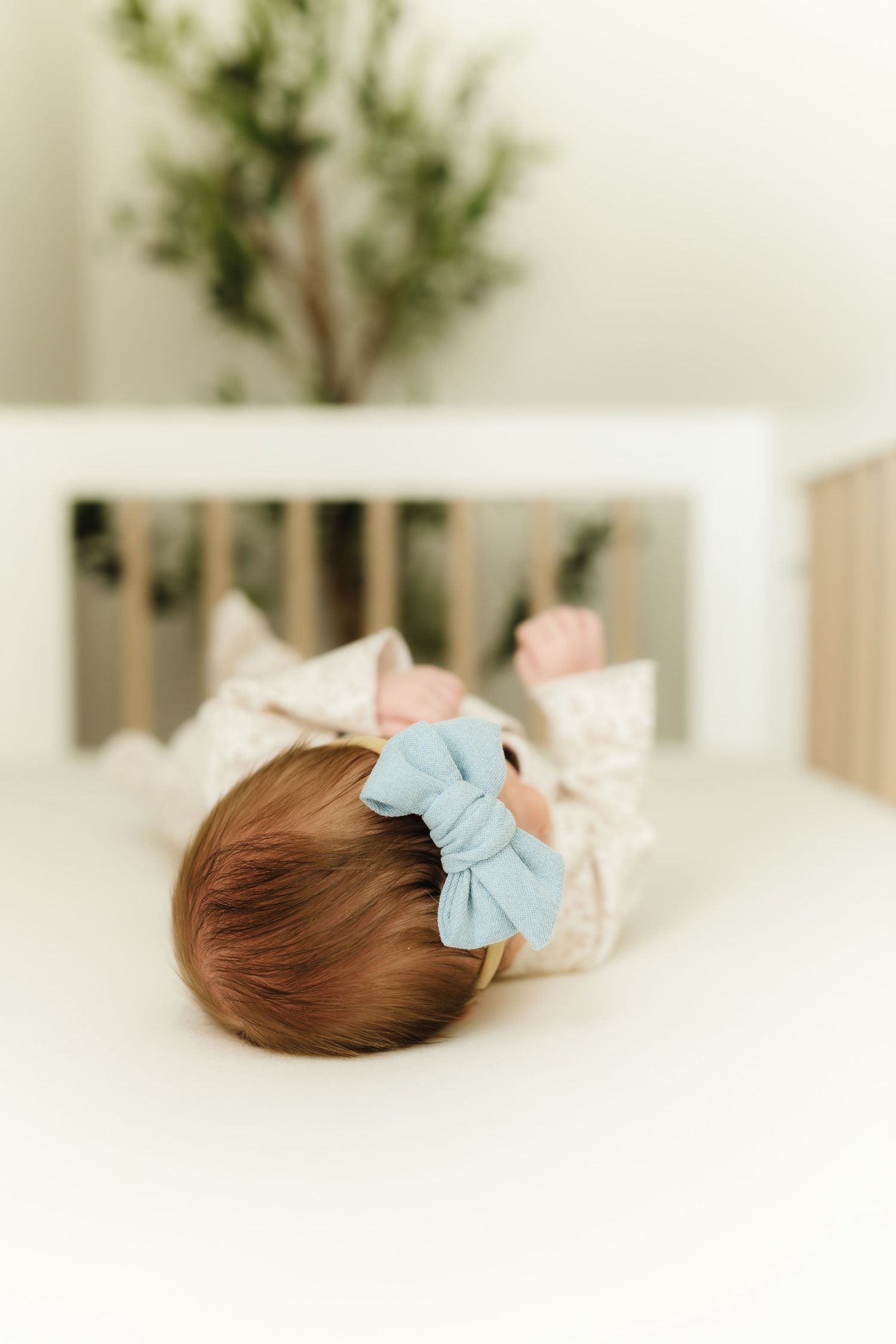 Soft minimalist newborn portrait setup with green plant and white backdrop.