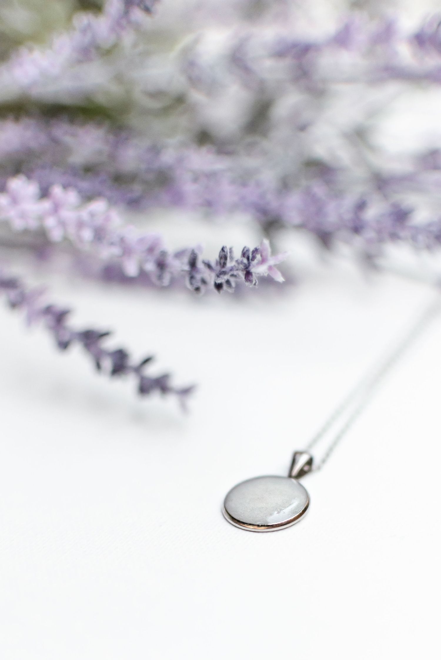Delicate purple lavender flowers blooming against a soft white background.