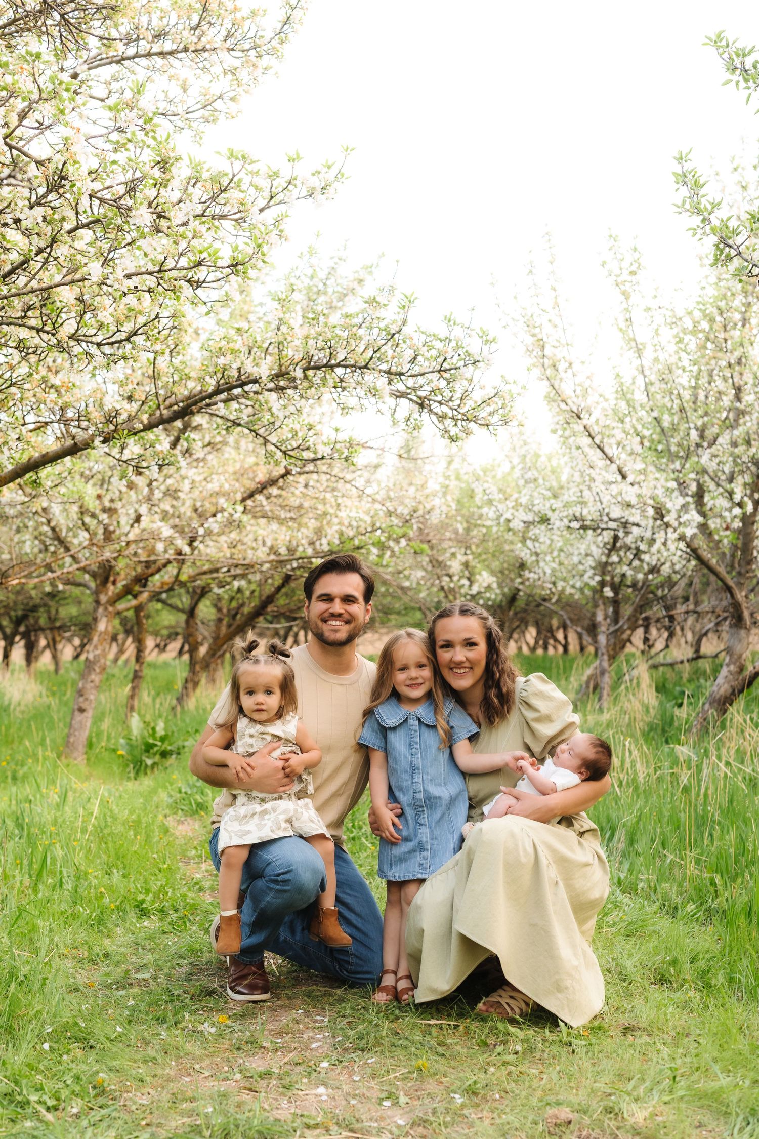 A family sits together under blooming white cherry blossom trees in a spring orchard setting.