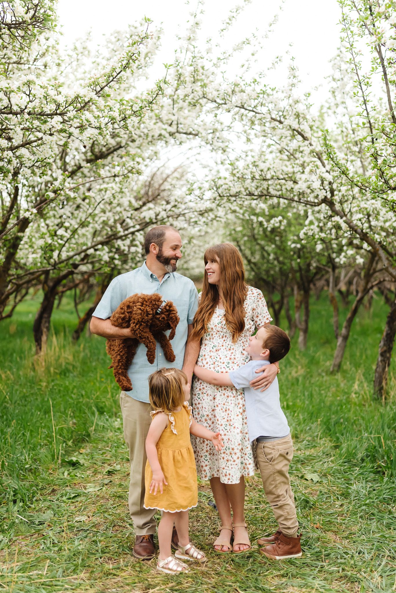 Family enjoying playful moments together in blooming fruit orchard.