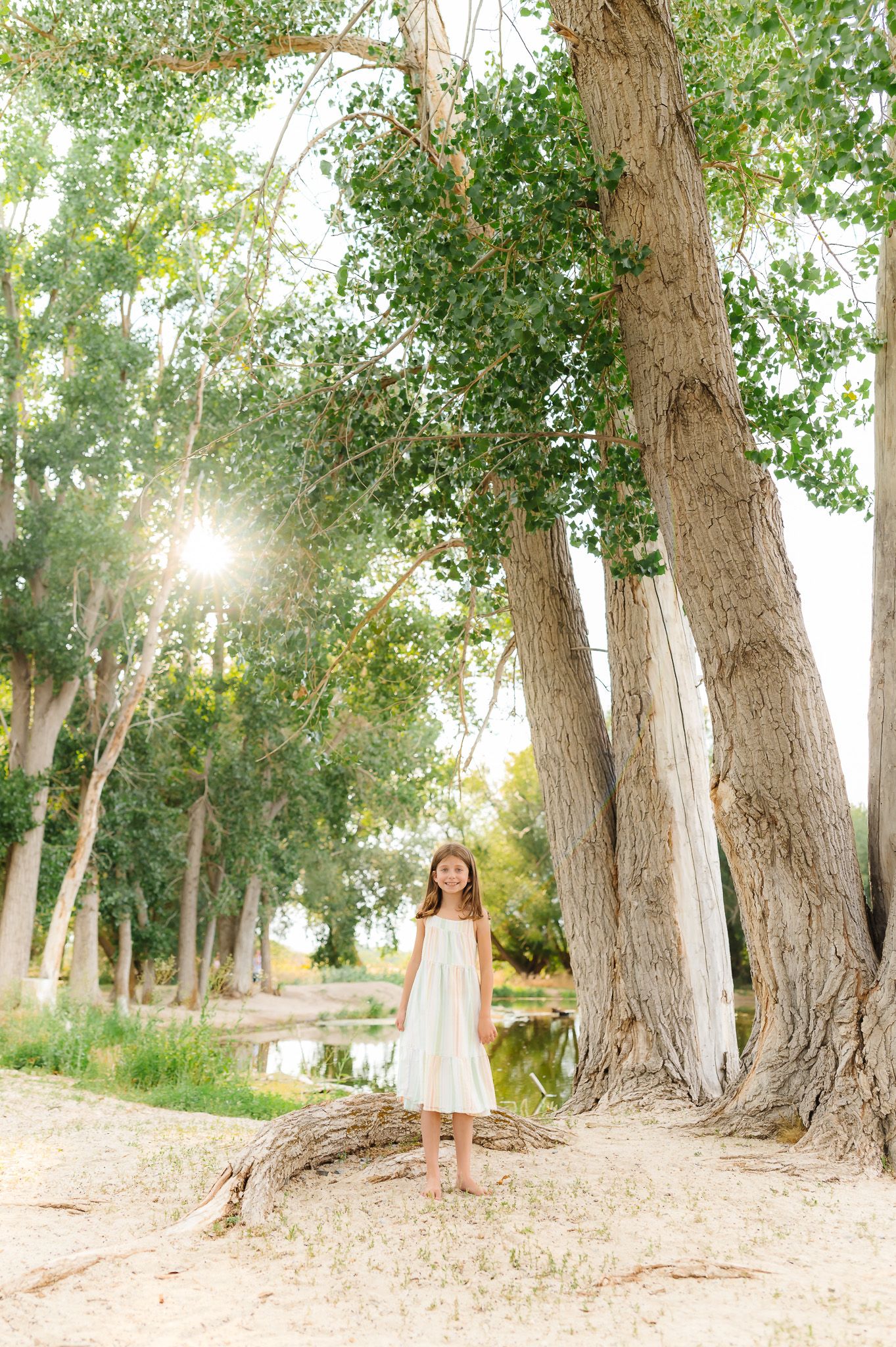 Sunlit wooded area with tall trees creating a natural outdoor backdrop.