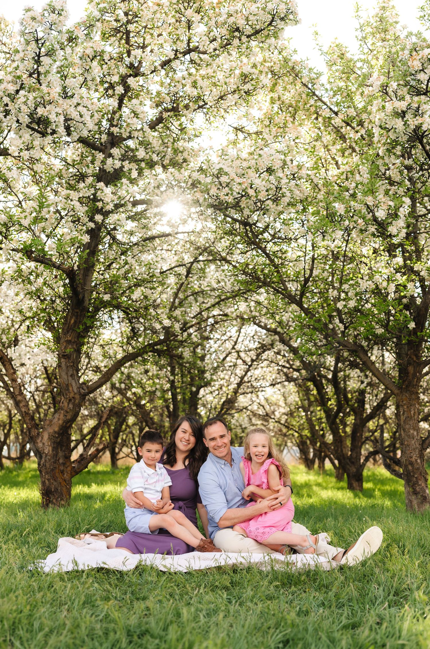 Family of four sitting on blanket in blooming orchard, parents holding young children, surrounded by white flowering trees.