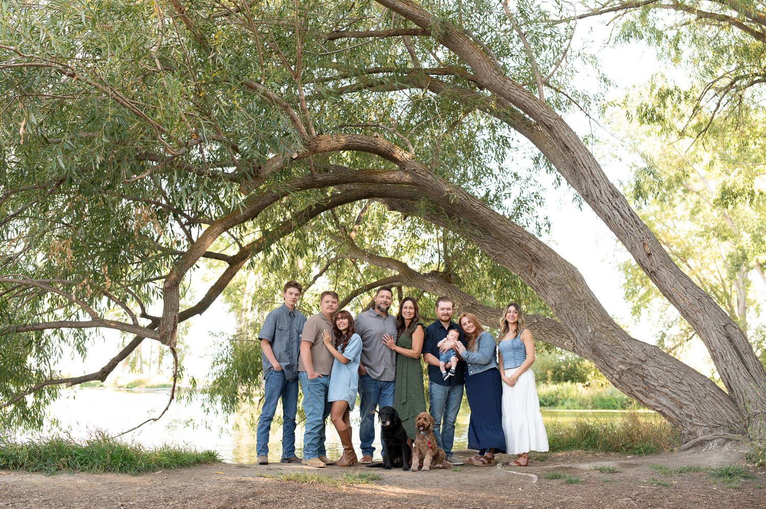 Large family group portrait under a sweeping willow tree outdoors near a lake on a sunny day.