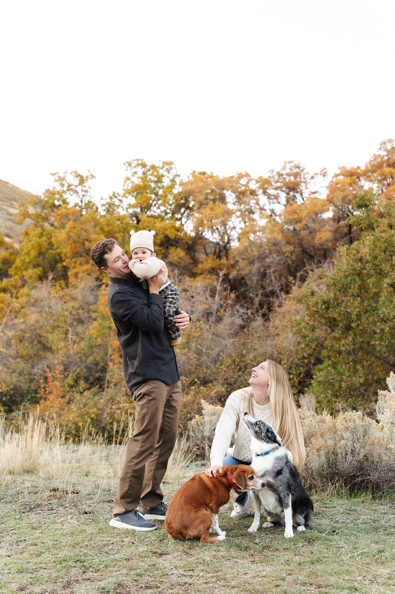 Family with a baby and two dogs enjoying a fall outdoor photo session in a scenic mountain landscape with autumn foliage.