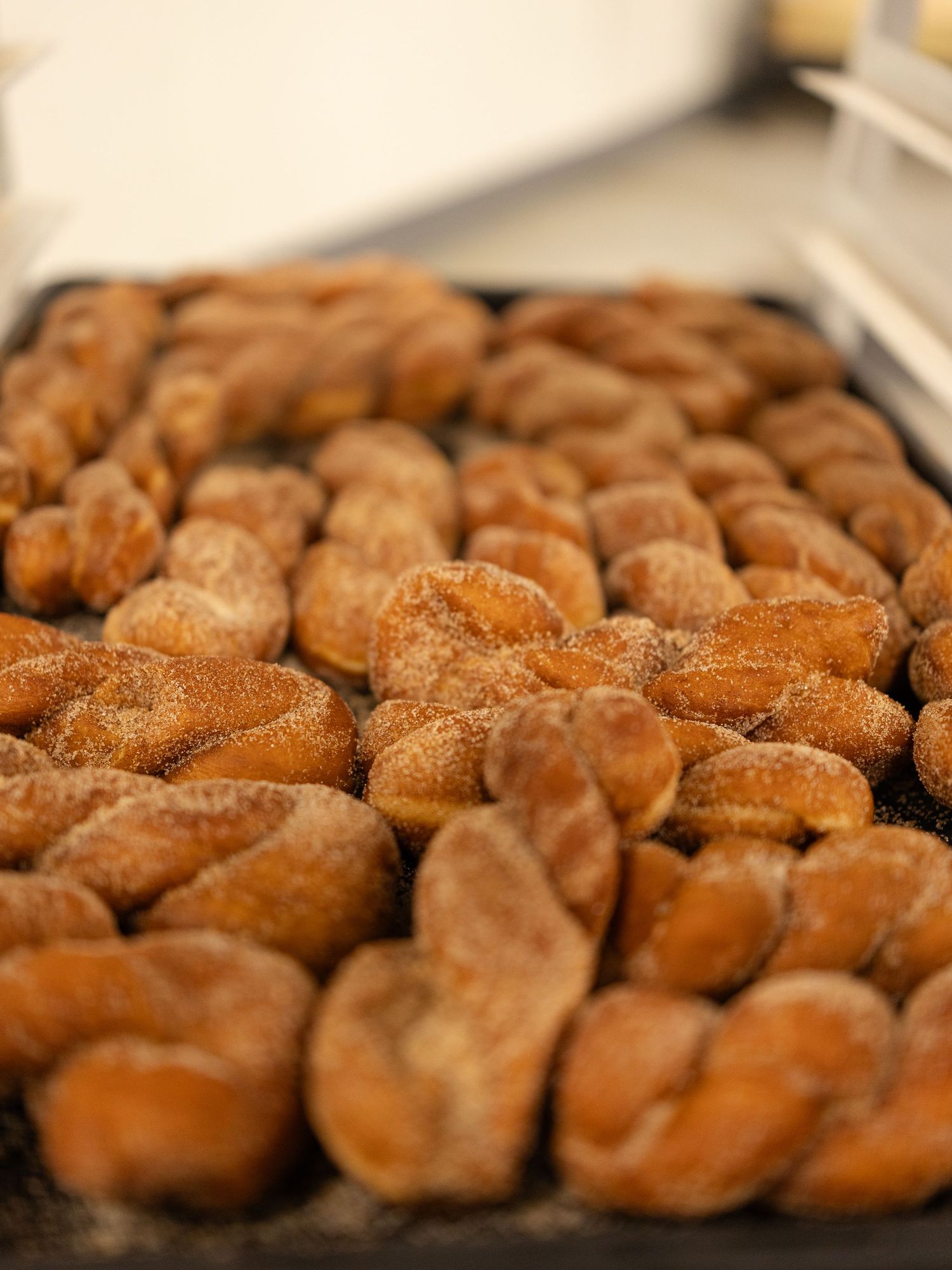 Freshly baked cinnamon rolls arranged in neat rows display their golden-brown swirls and sugary coating.